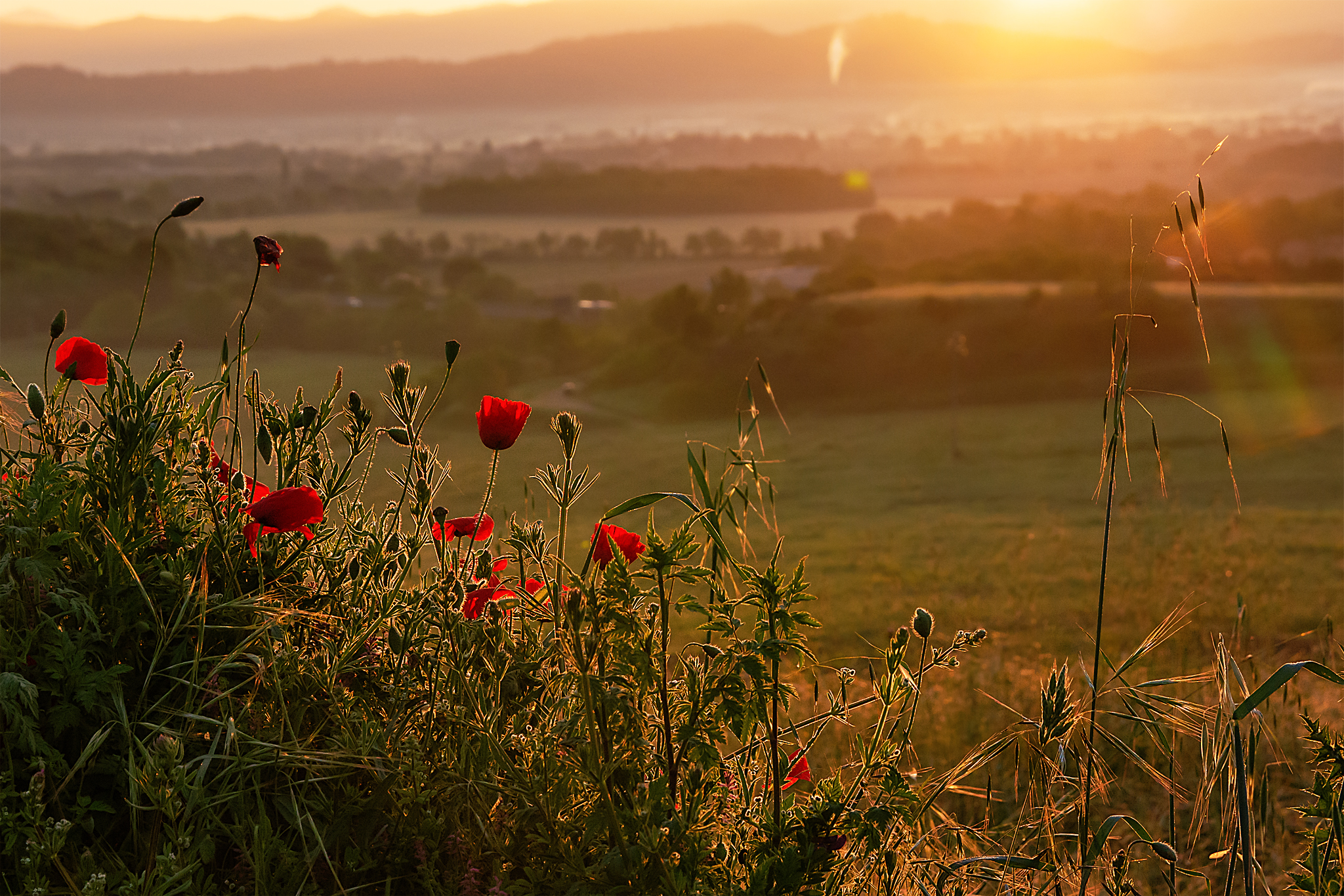 Untitled Photo