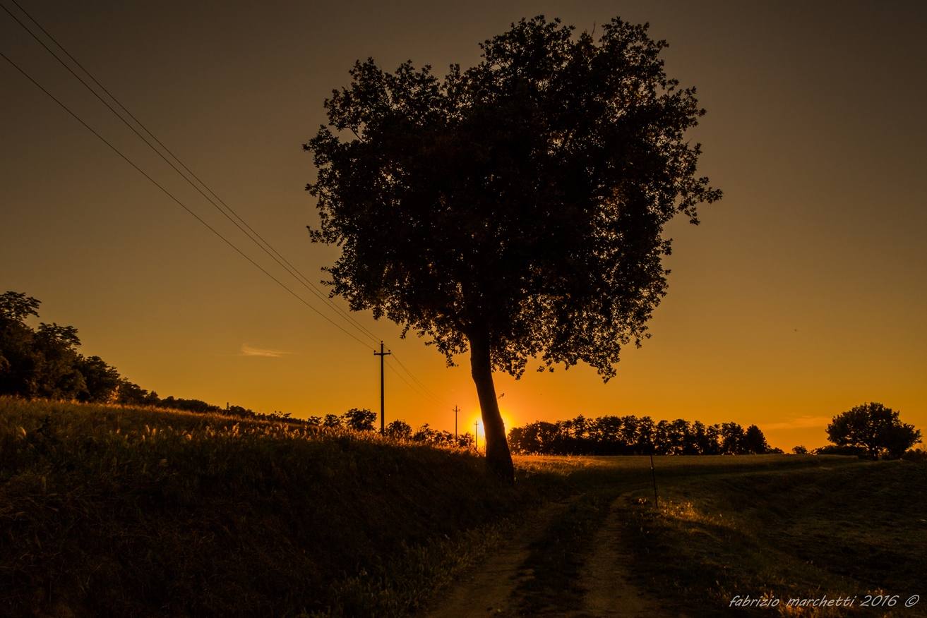 la pianura e la valle staffora