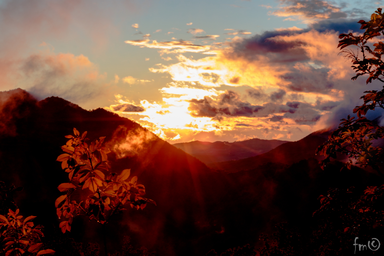 the plain and the valley staffora