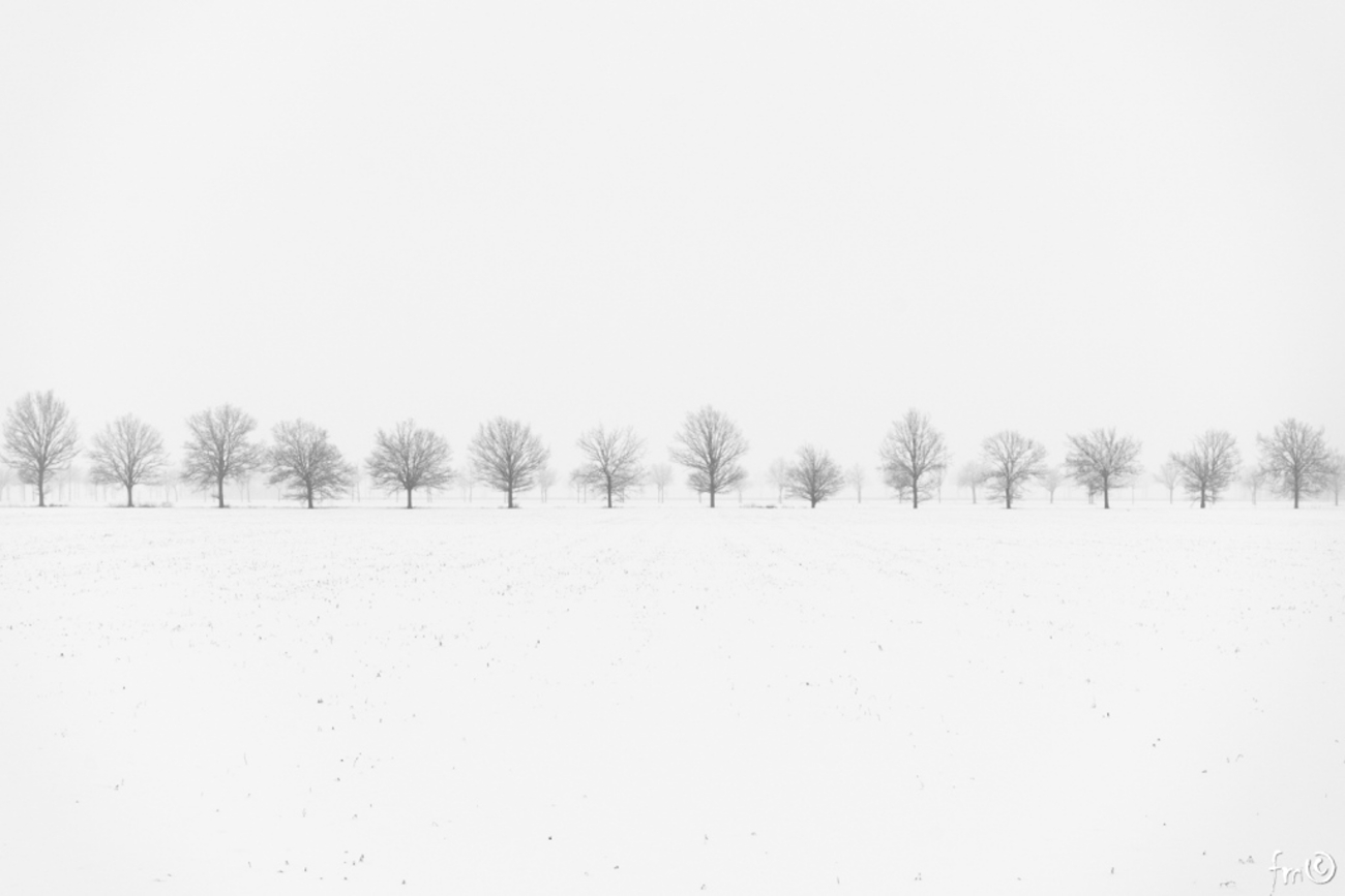 la pianura e la valle staffora