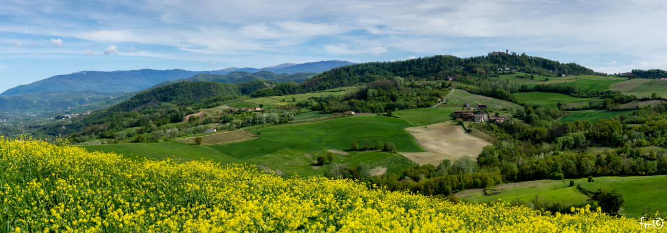 the plain and the valley staffora
