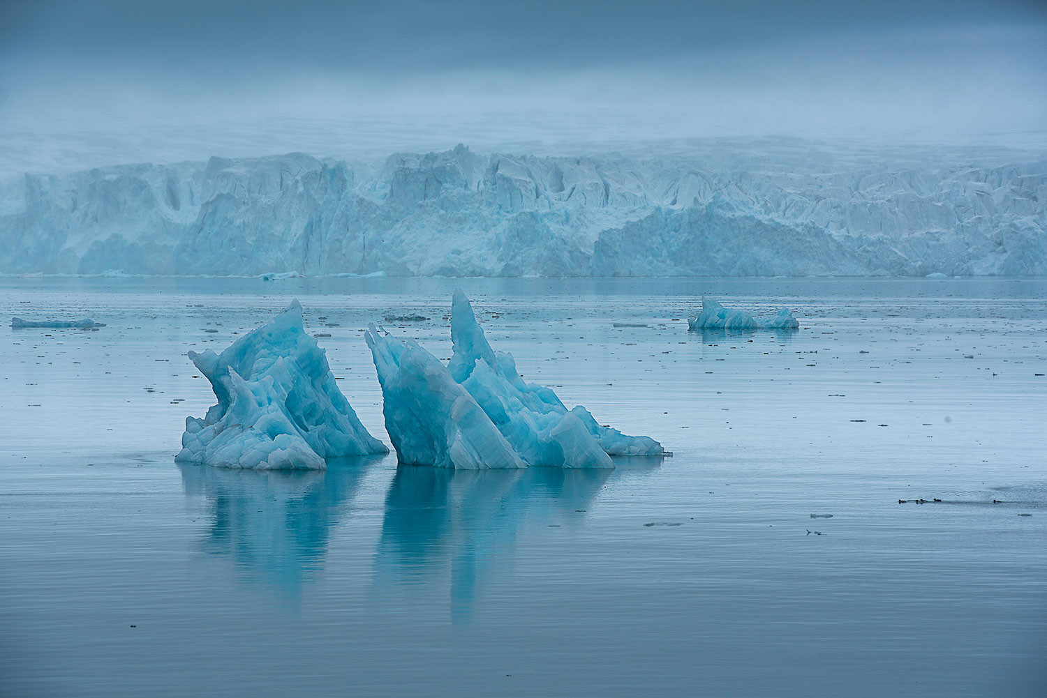 Lillehookfjord nella nebbia - Svalbard
