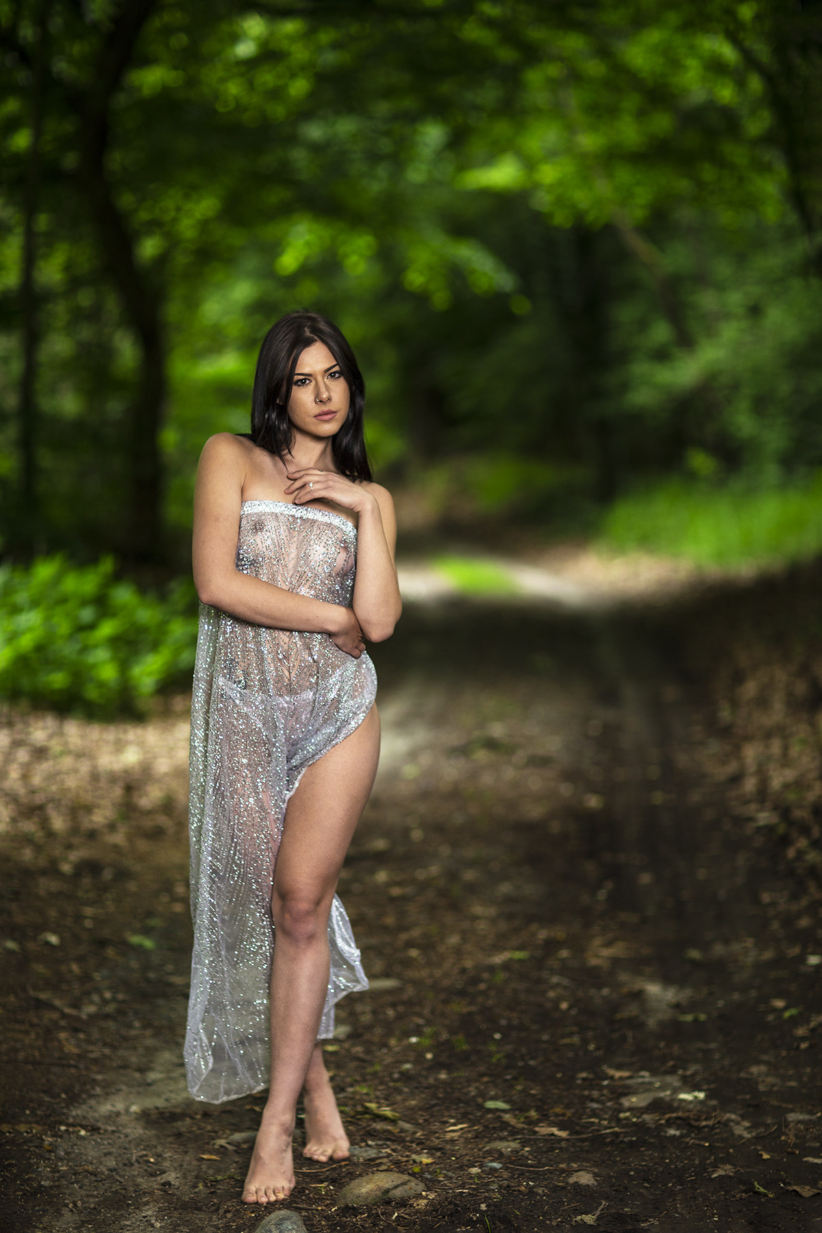 Andando a funghi nel bosco