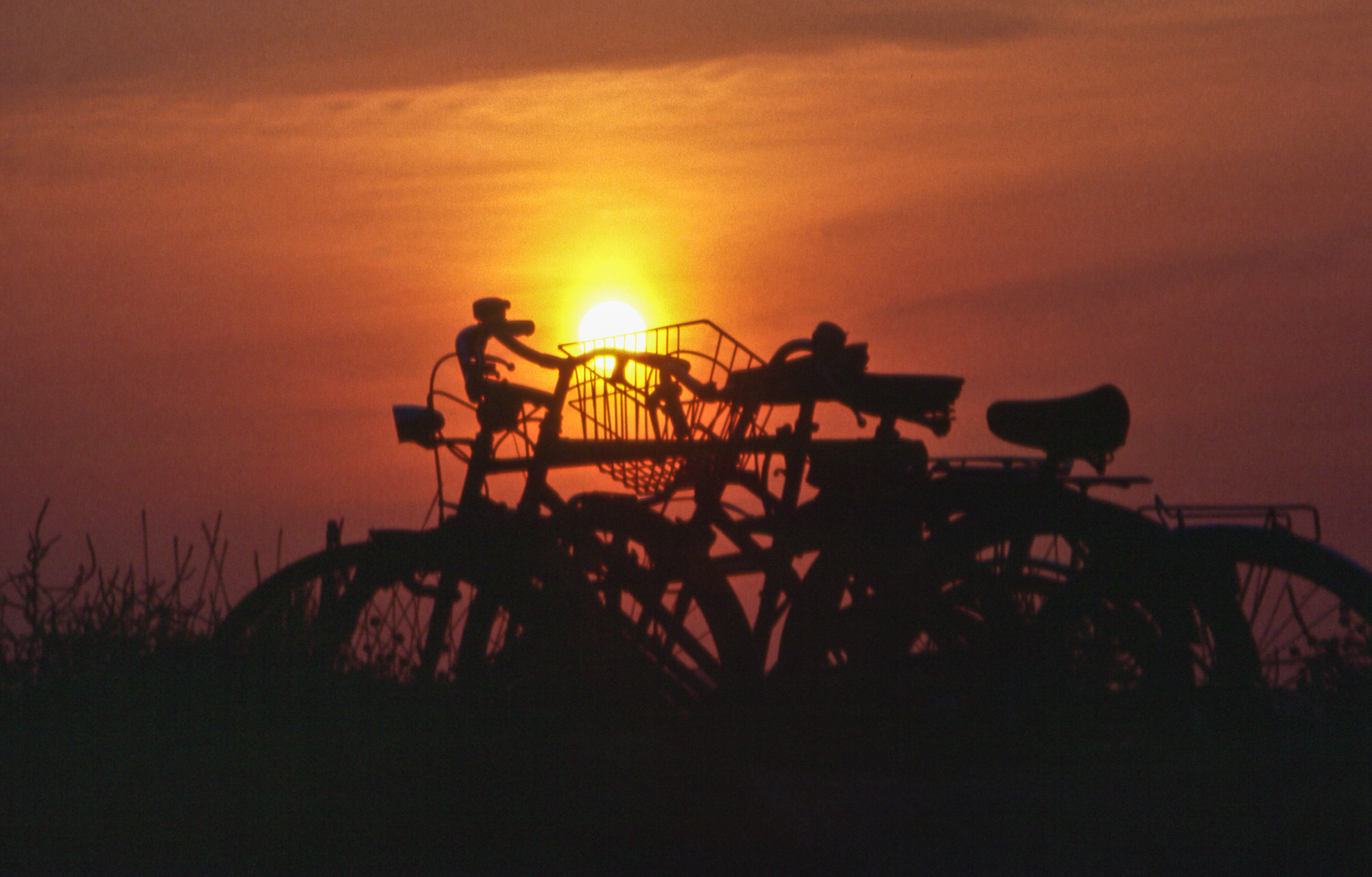 The sun in the trash