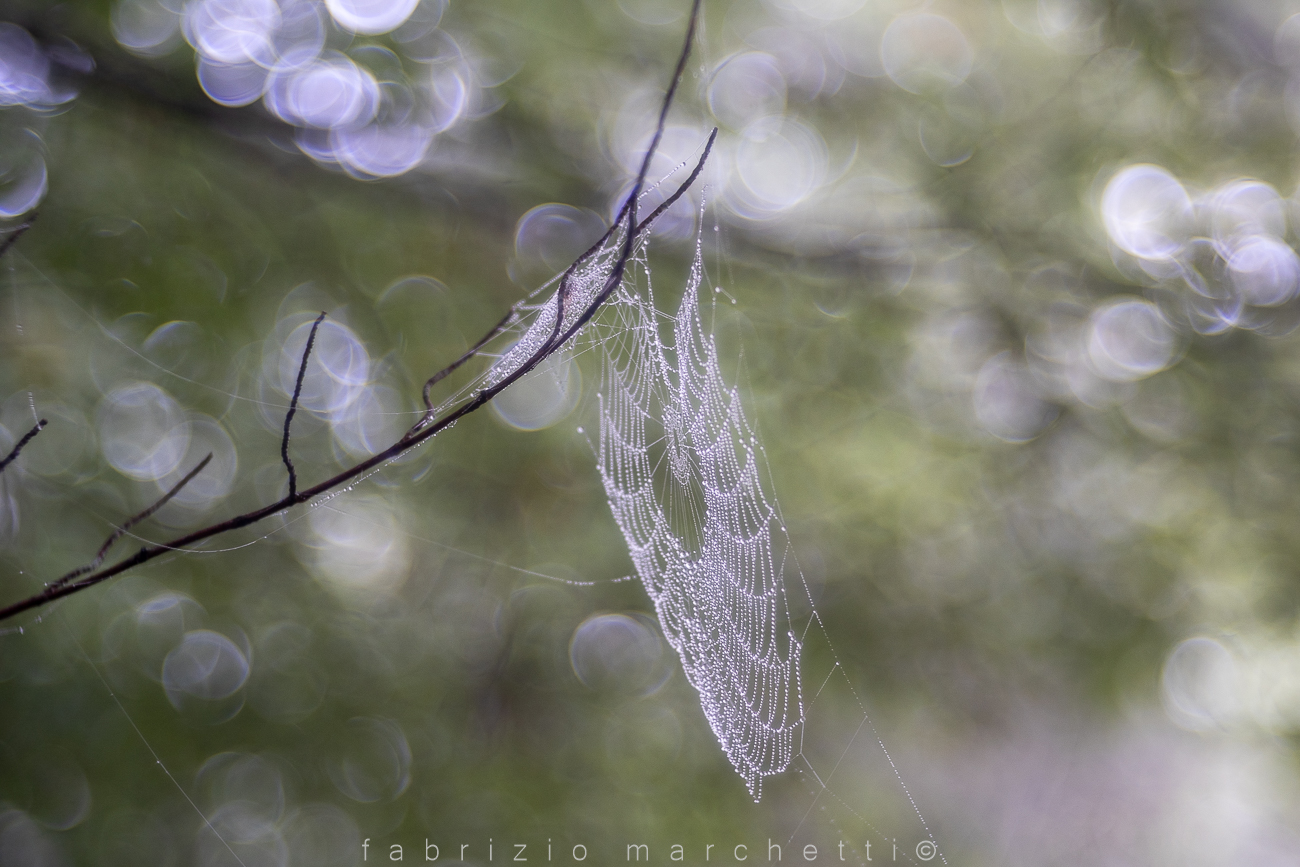 Vicosoprano Val d'Aveto