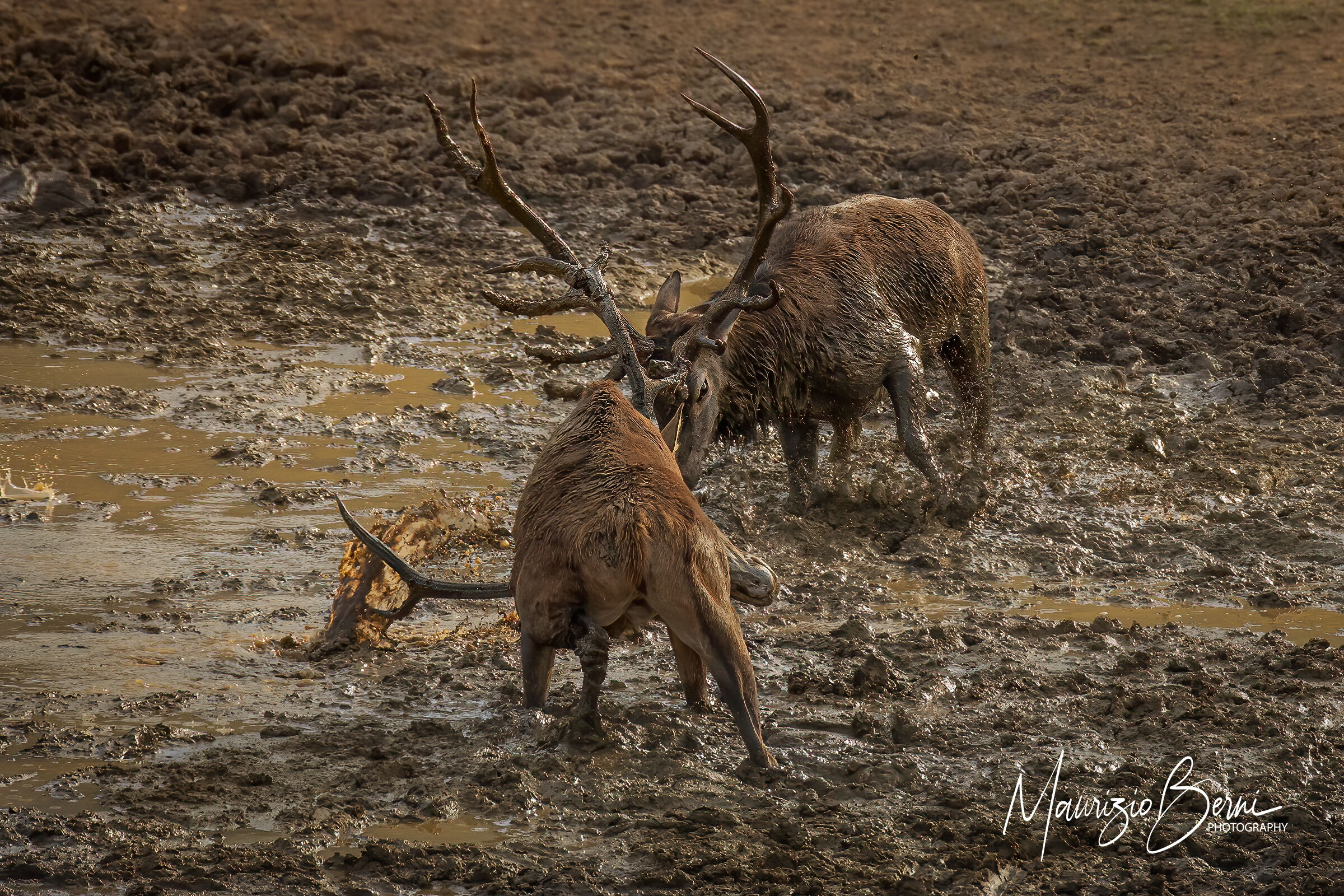 The going gets tough