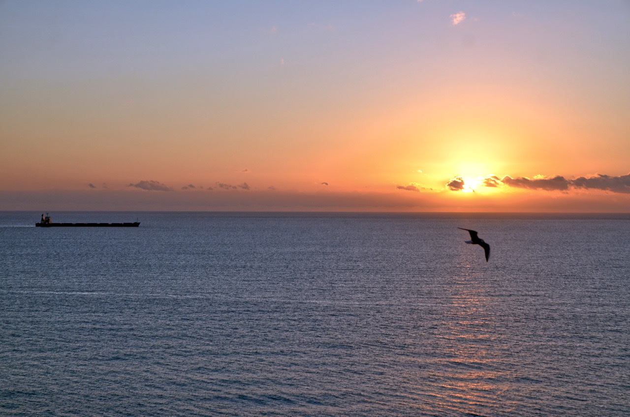 There are those who fly and there are those who sail