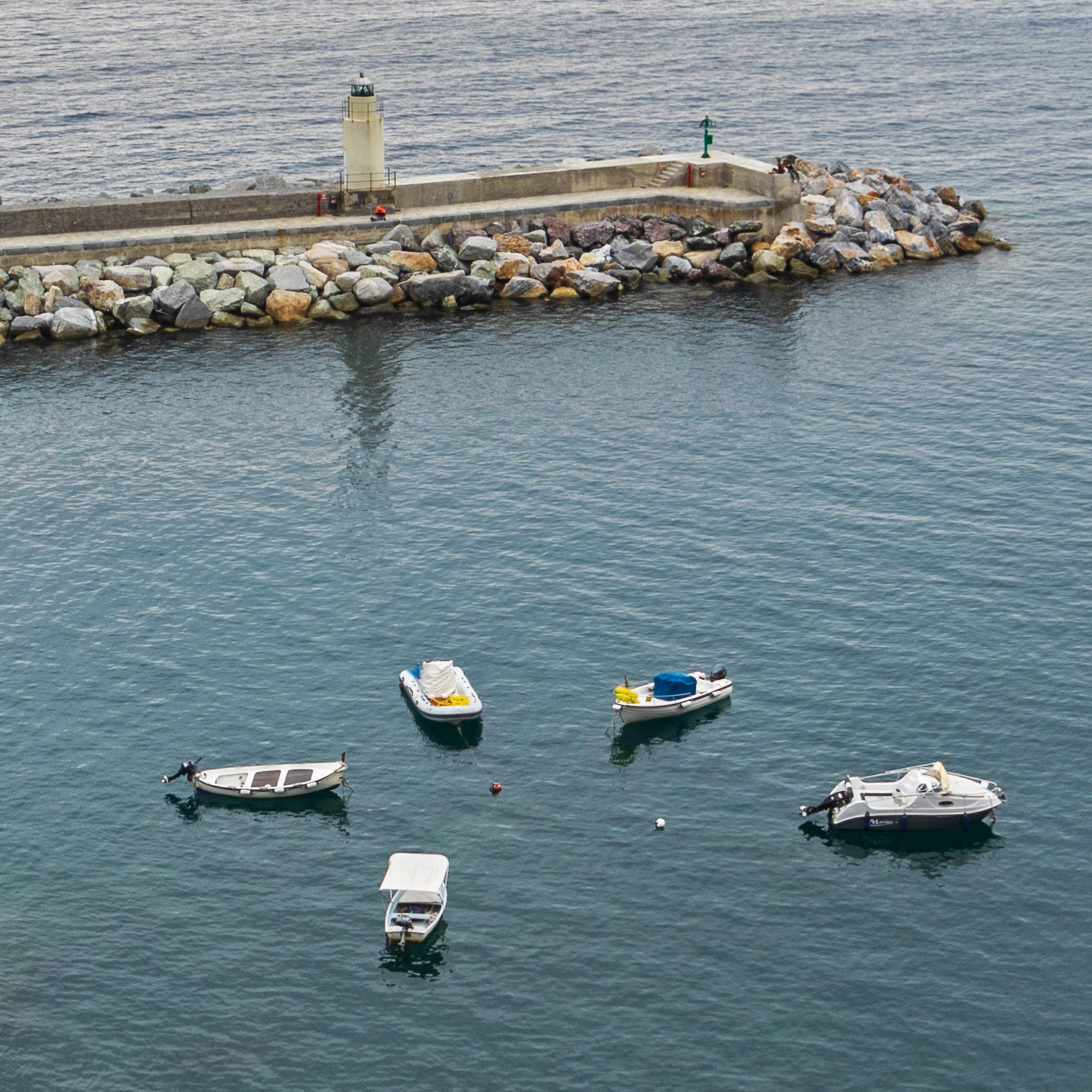 Full of whites with yellows