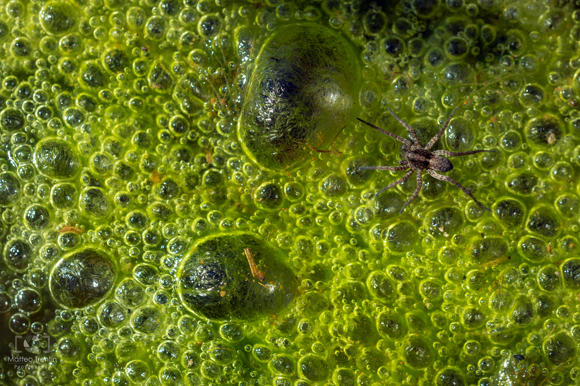 Above the bubbles