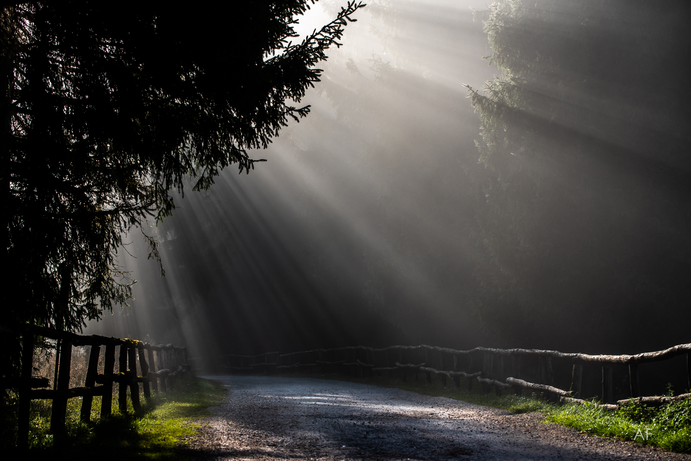 “M'illumino d'immenso”