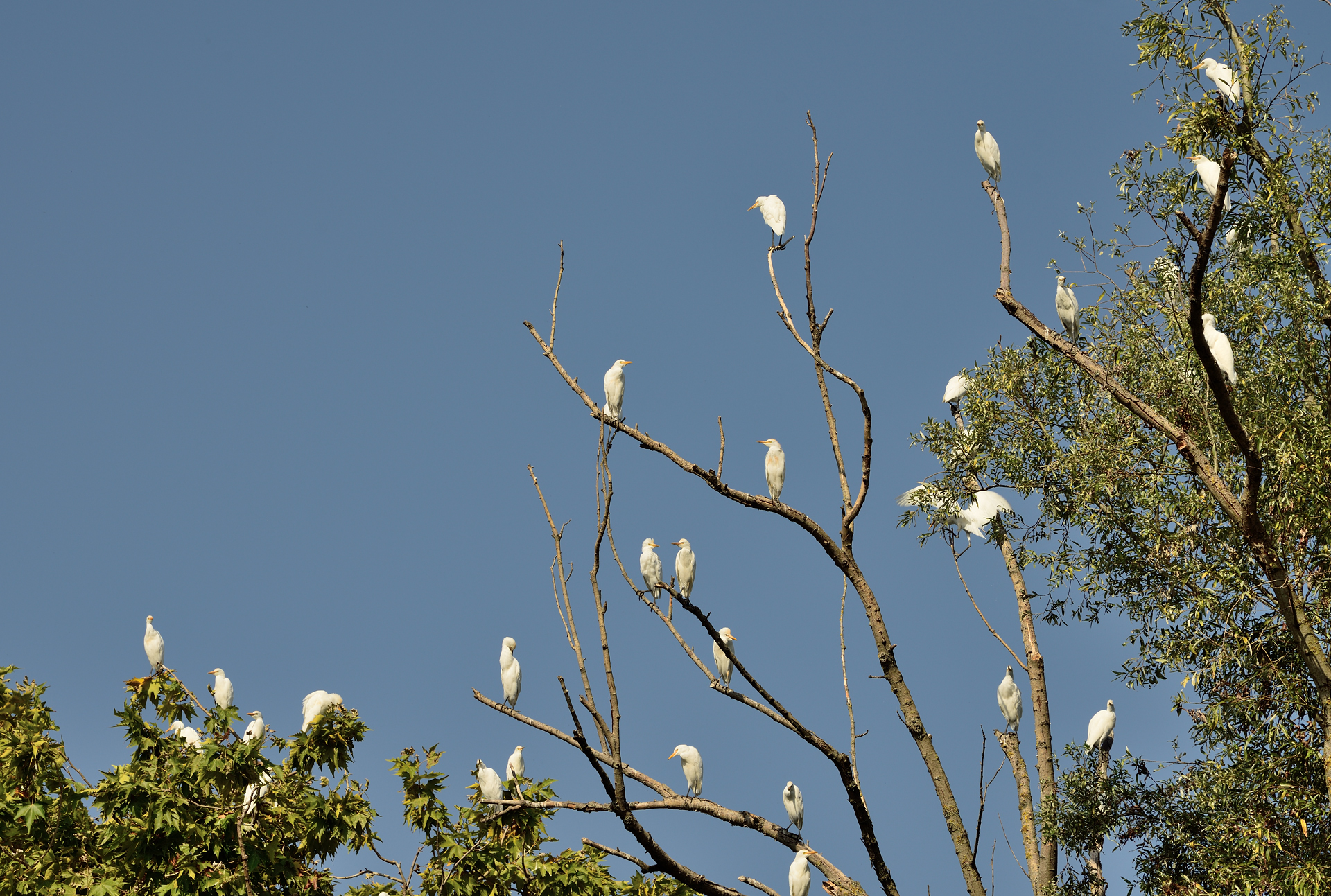 La solita noiosa assemblea condominiale