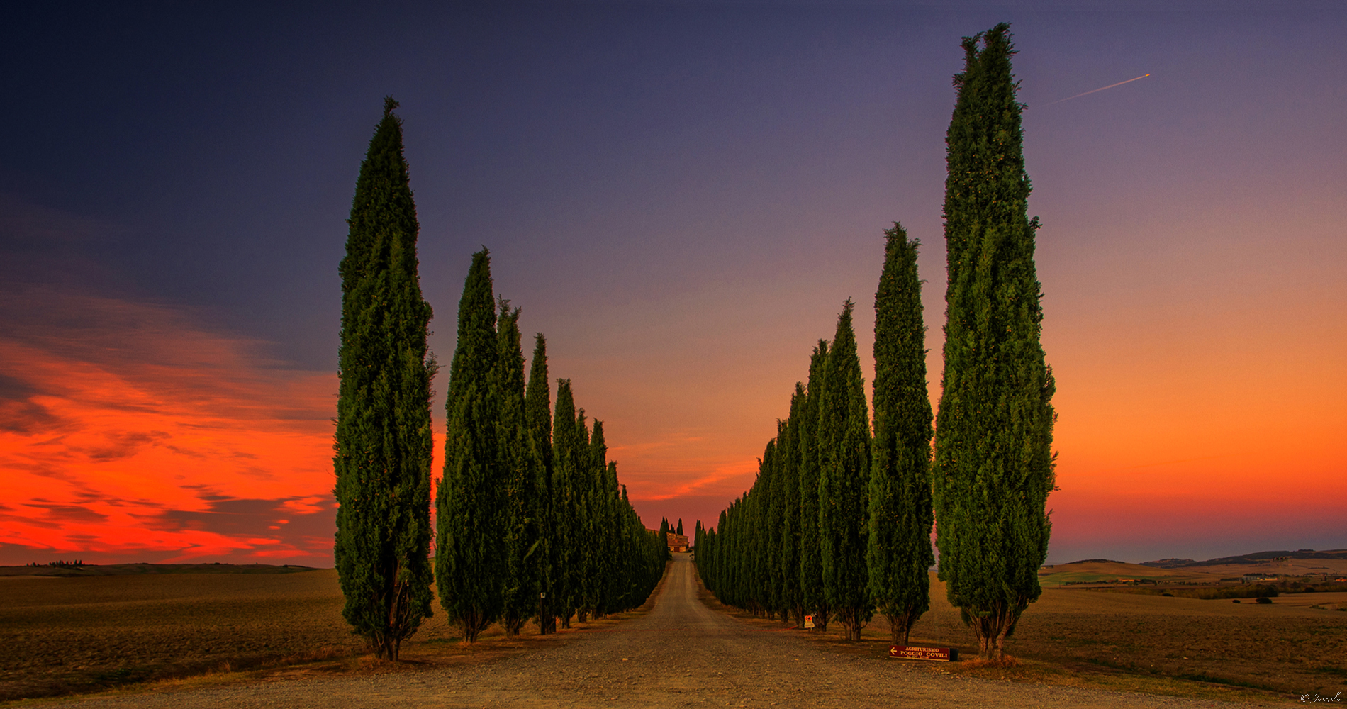 Cypress Avenue at Sunset