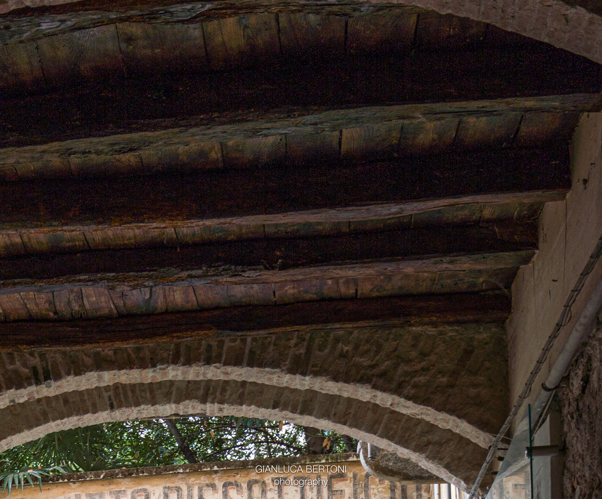 crop 100% da foto ritoccata (Sony a7RIV)