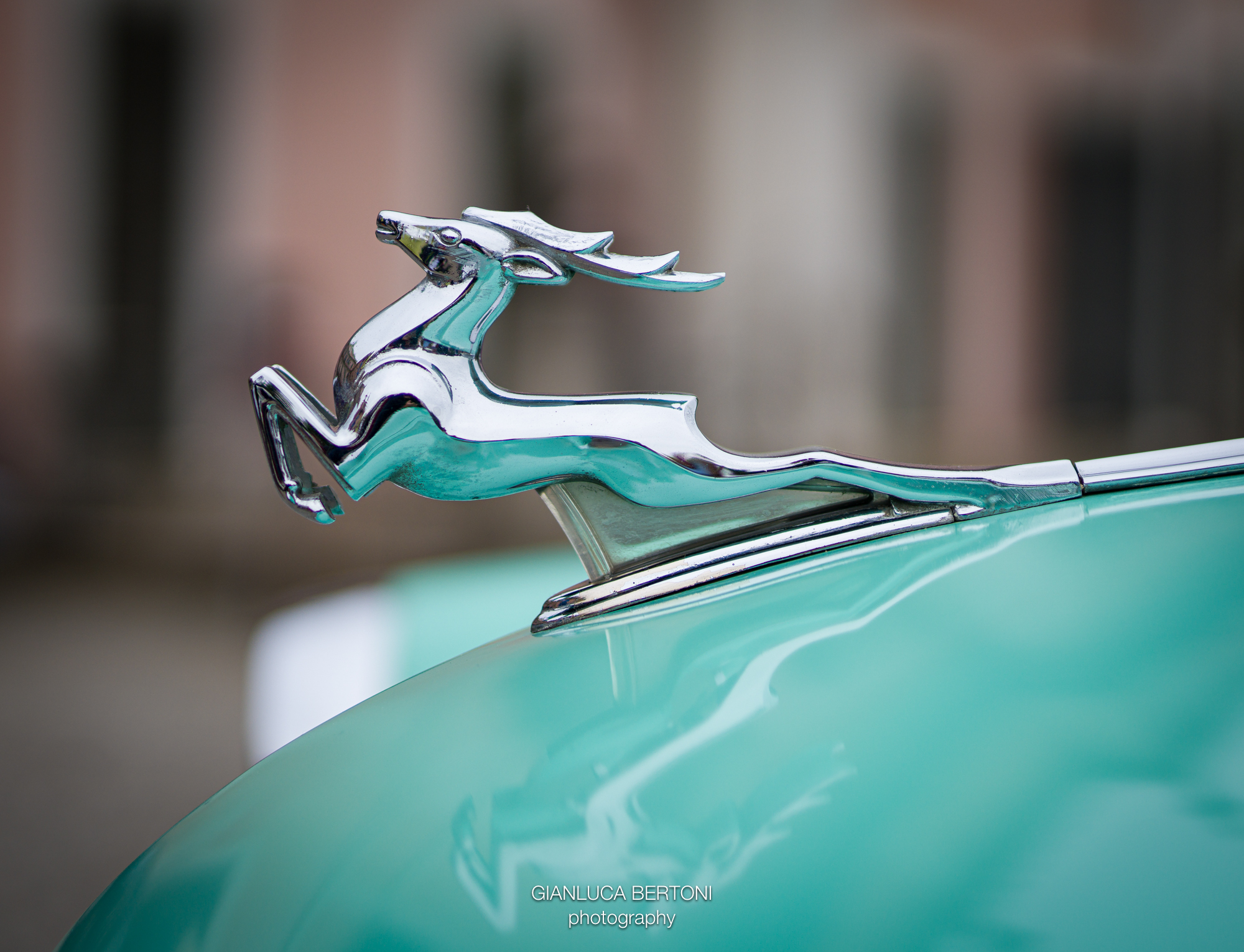 sigma 50 art f/1.4 crop