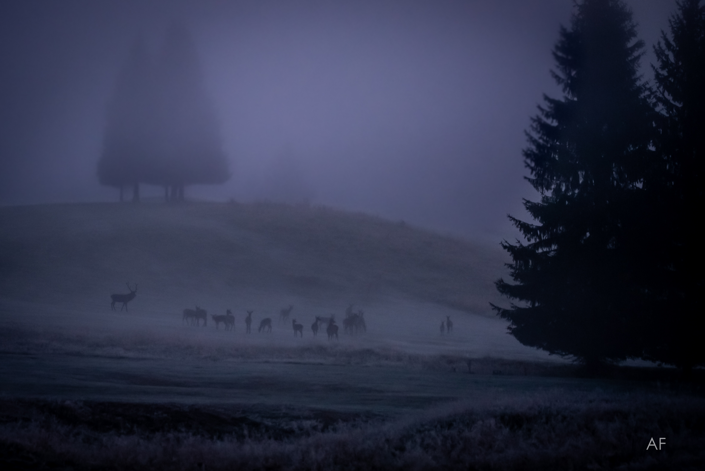 un'altra magica alba