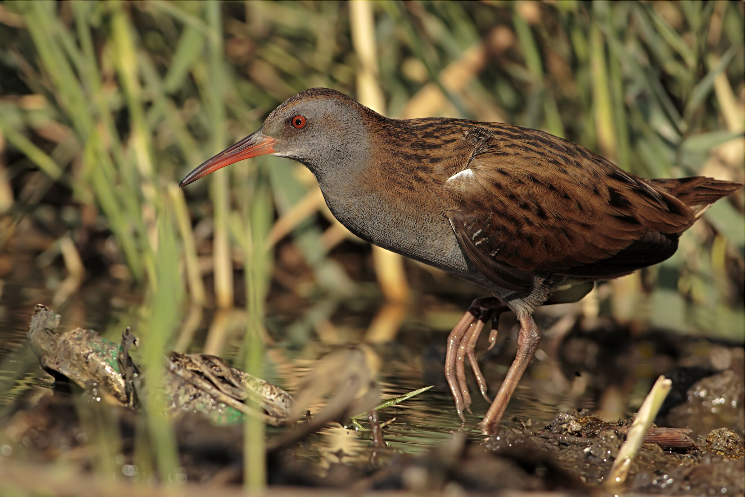 Il segno del degrado