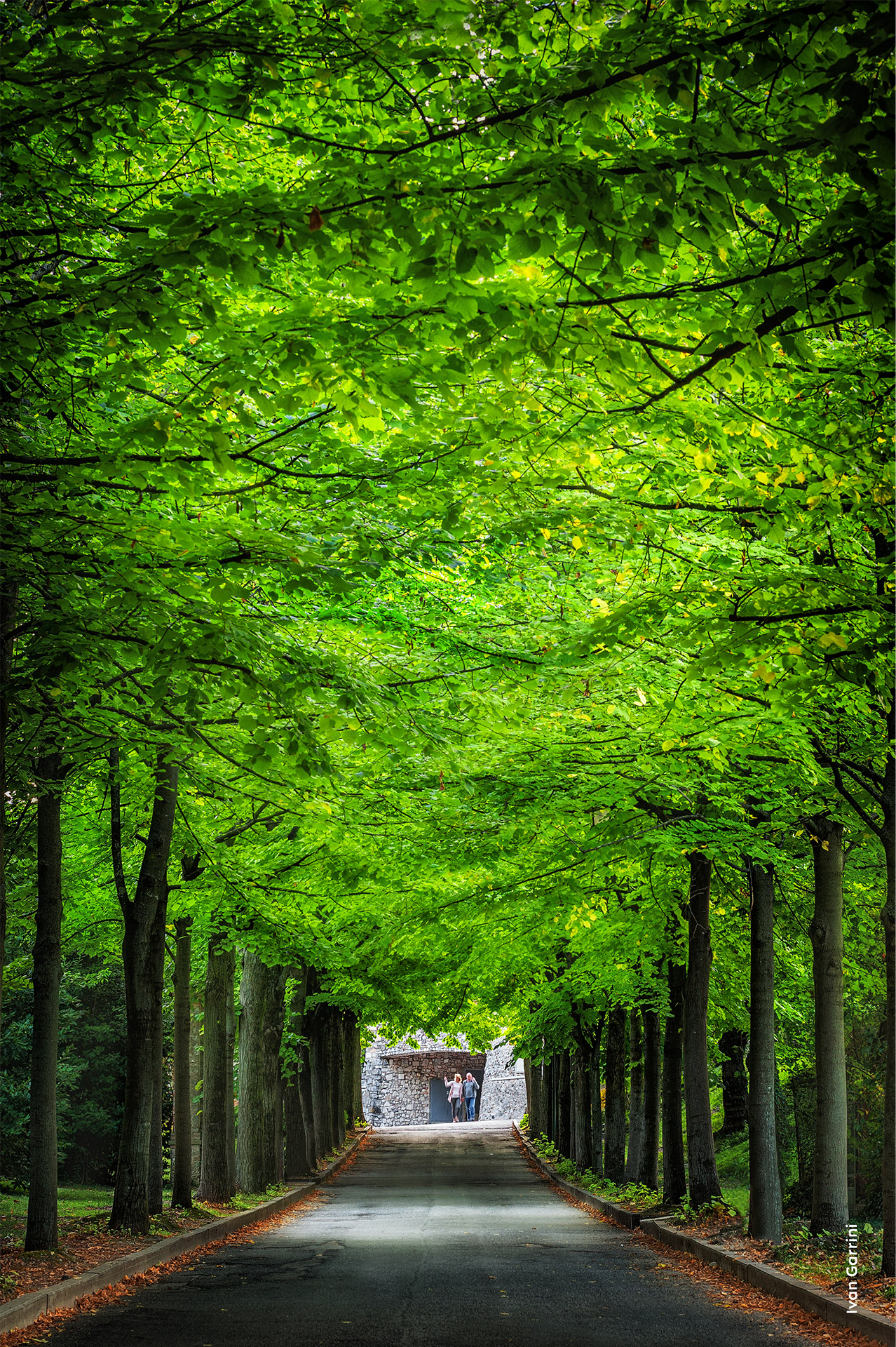 In attesa dell'autunno