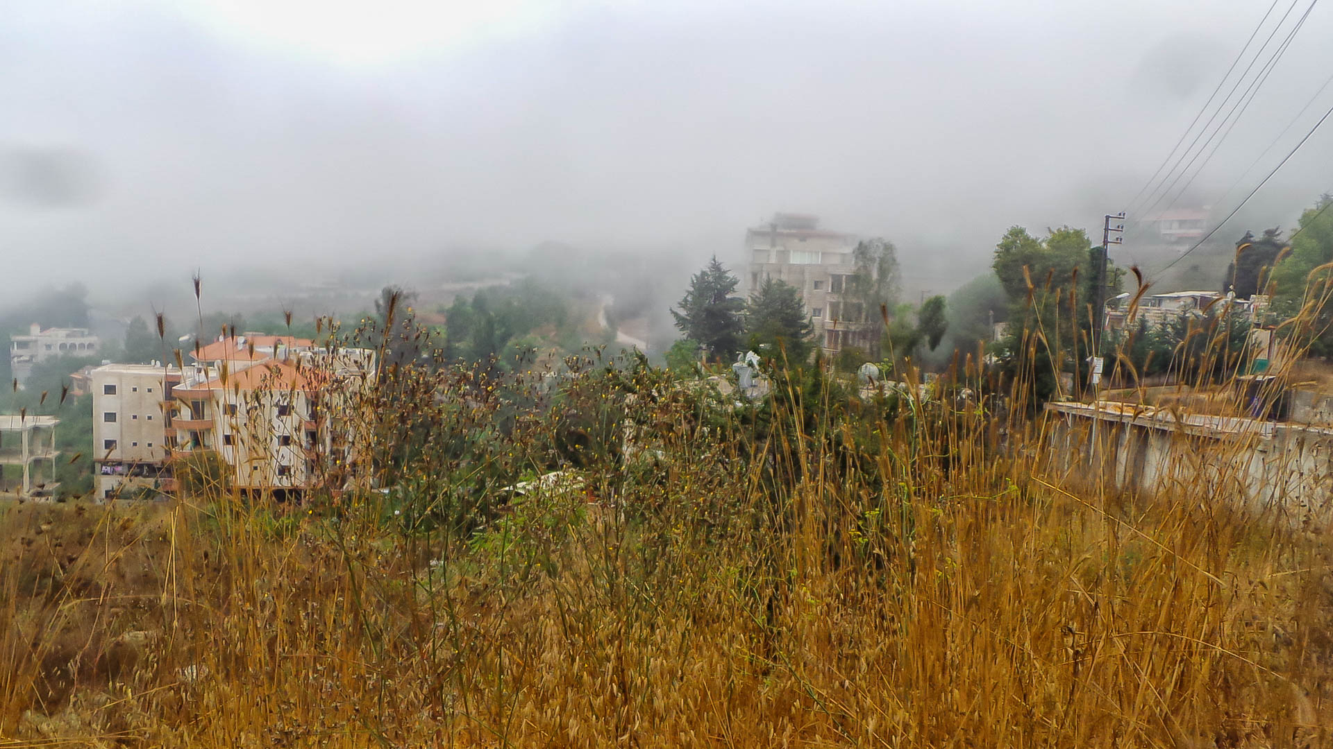 The Mist in Aaleh