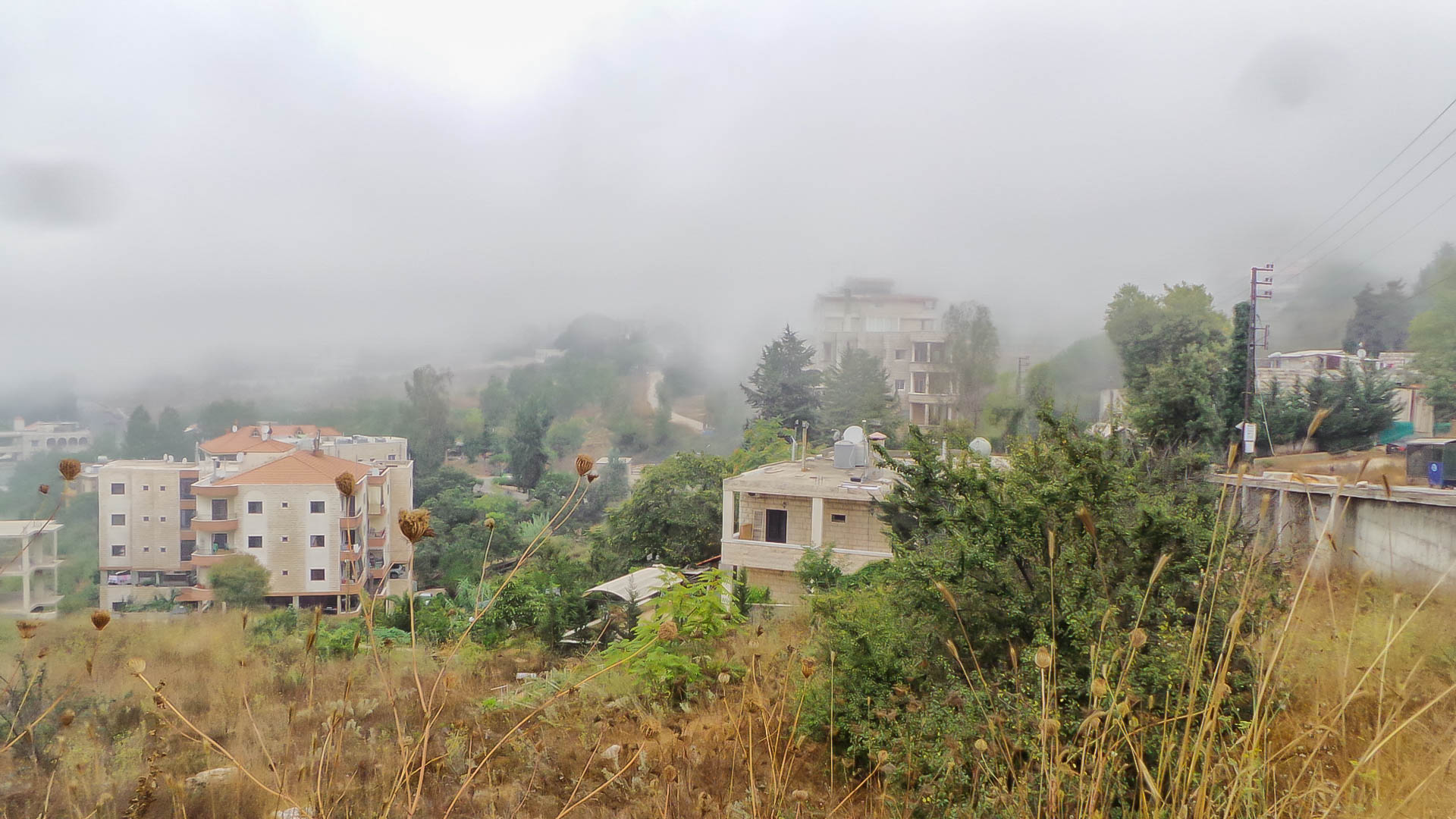 The Mist in Aaleh