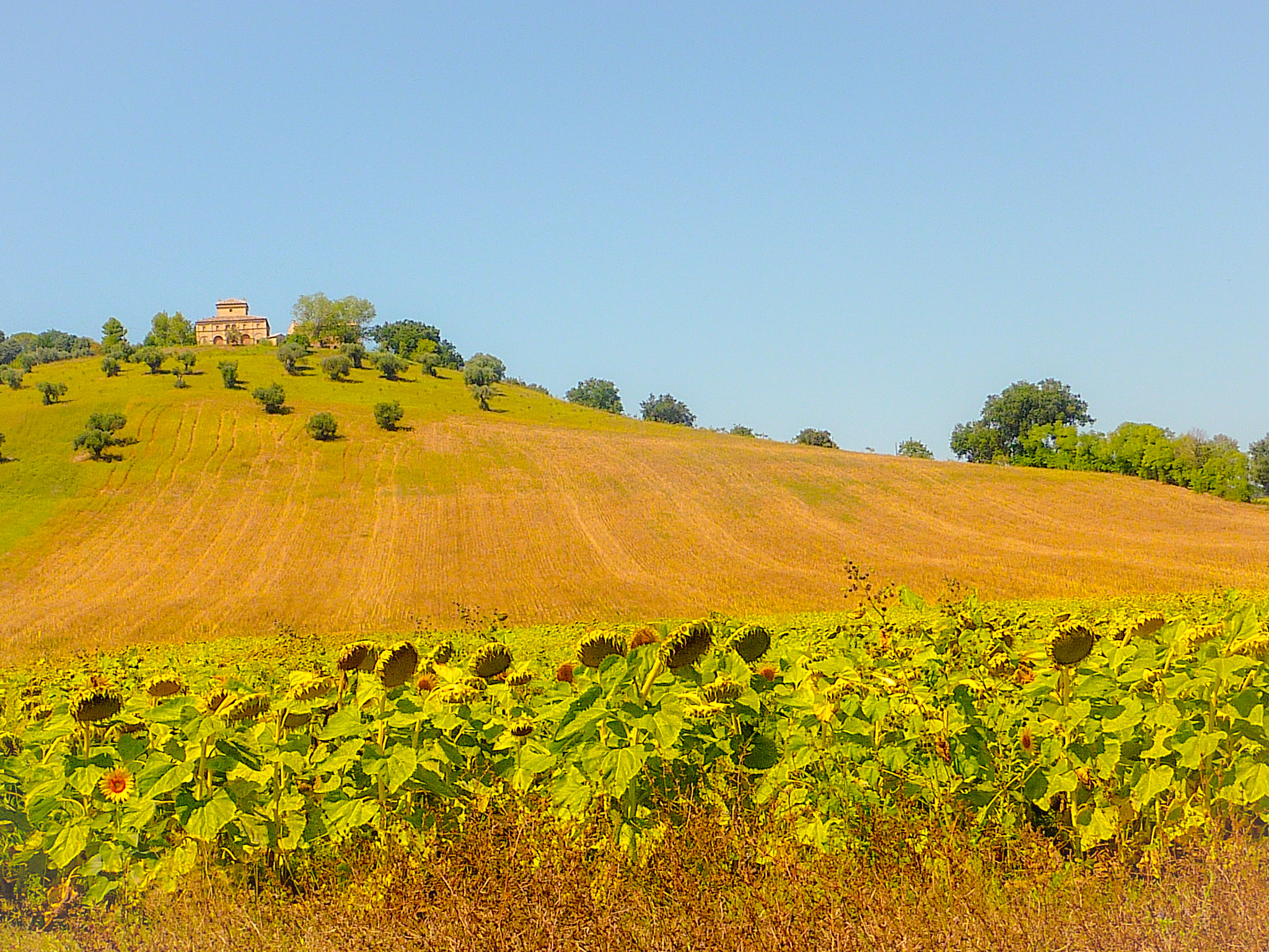 hills and farmhouses...