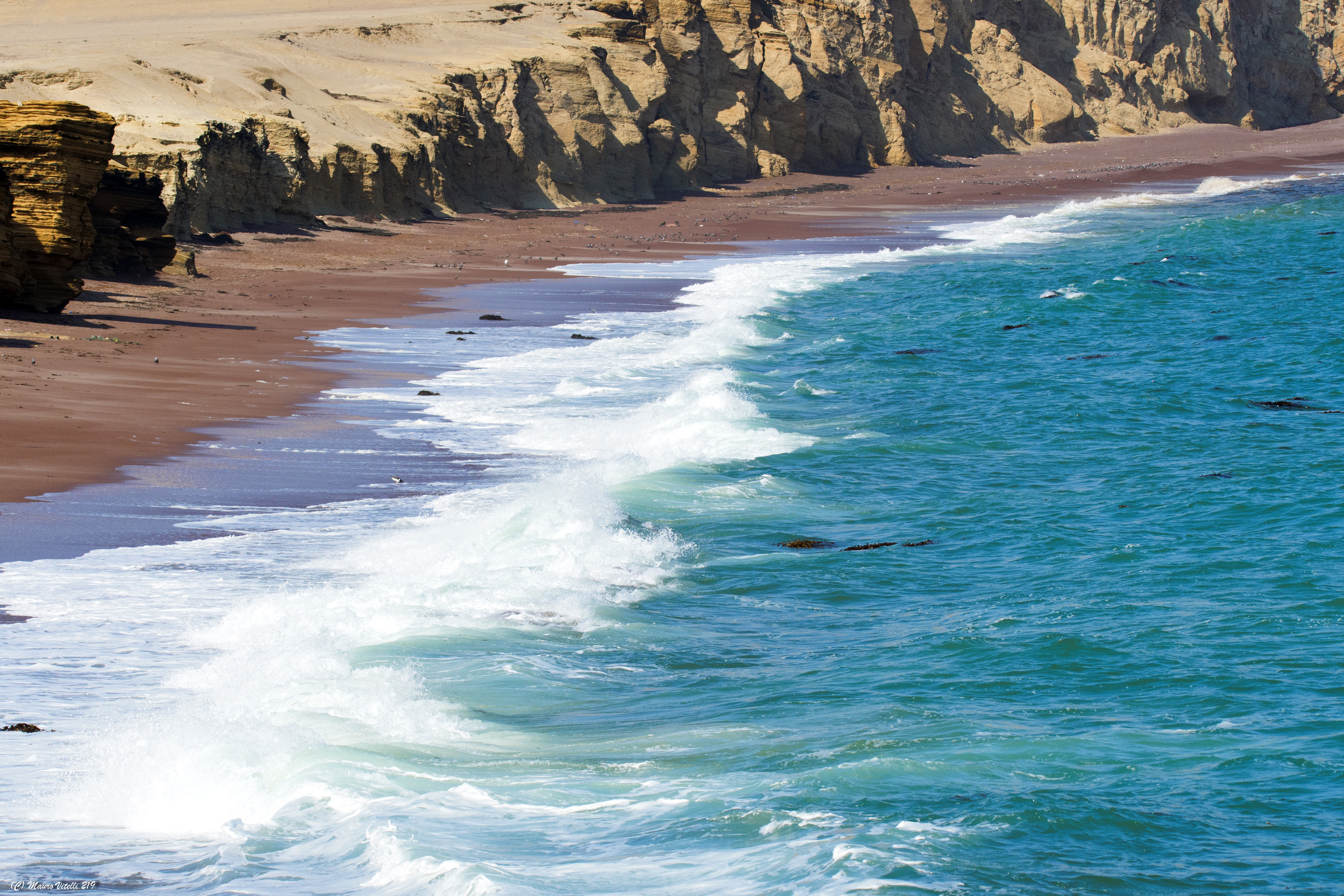 Paracas Nature Reserve (Peru)