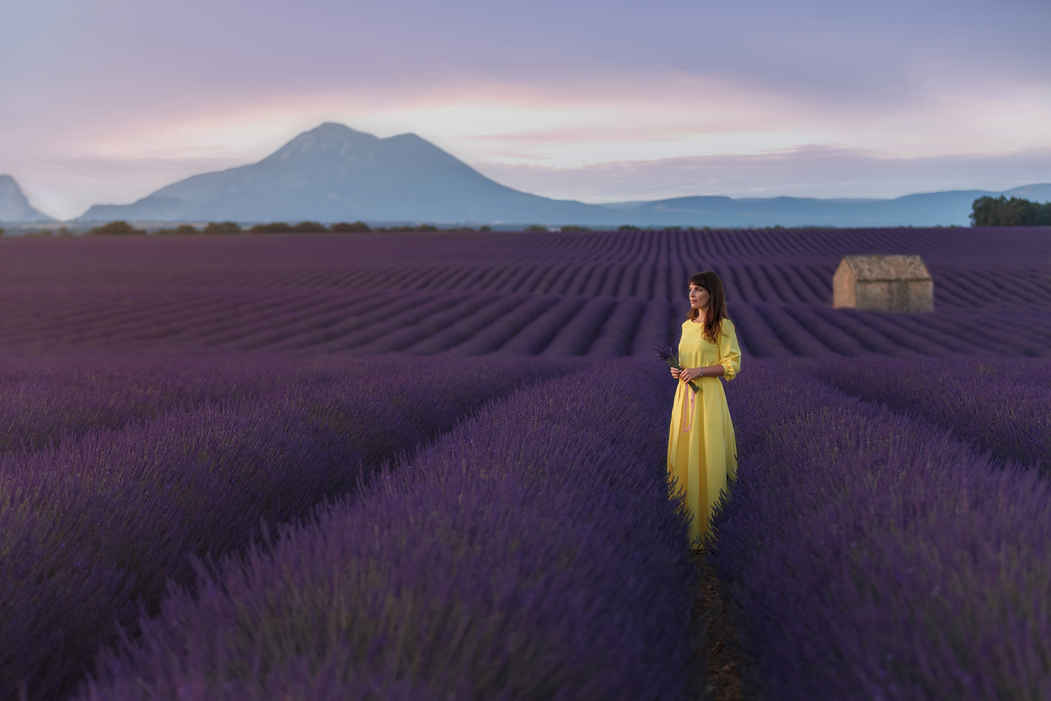 Pace, tranquillità, tranquillità...