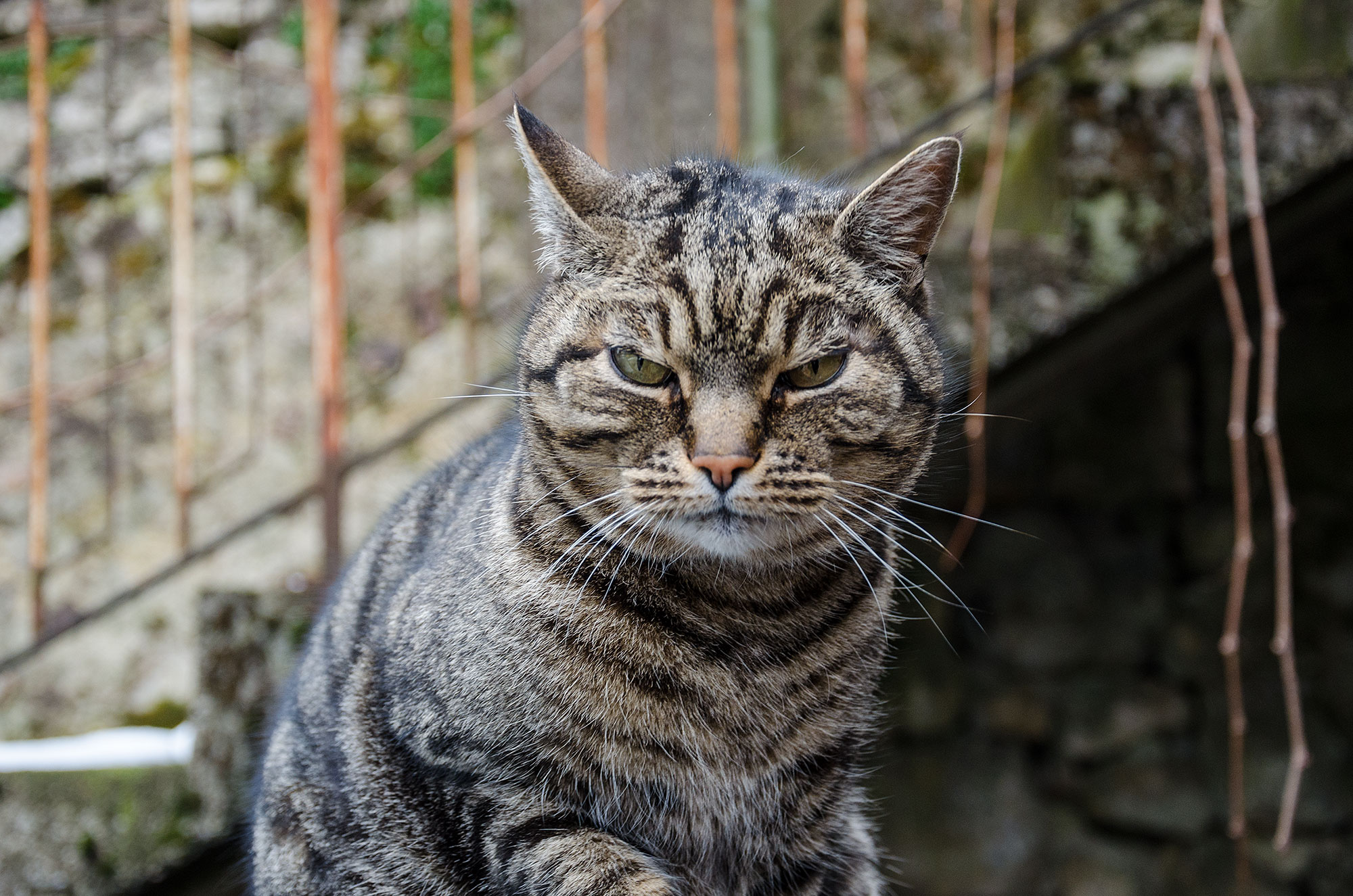 I'm keeping an eye on you.