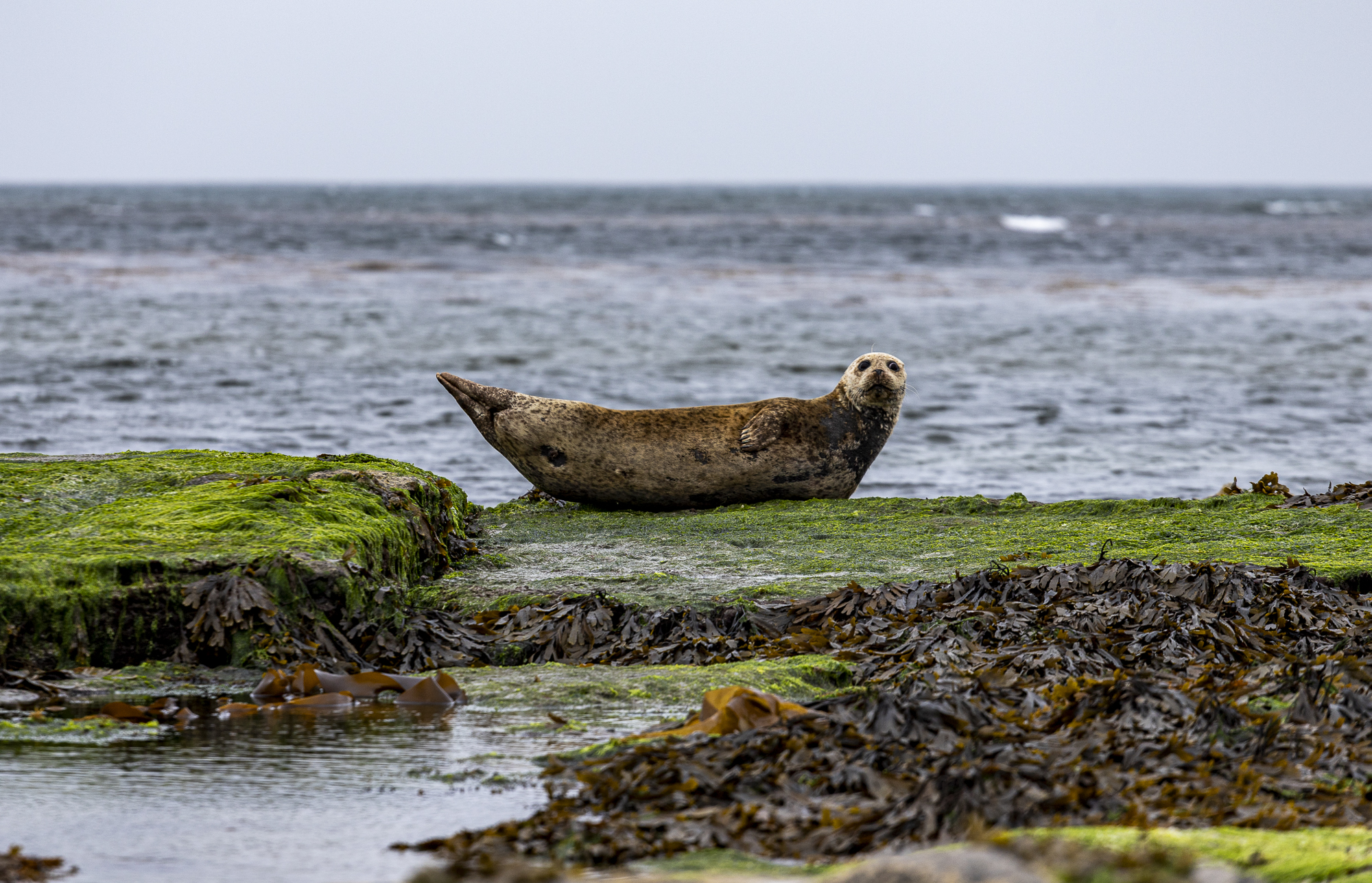 Relaxing on the beach