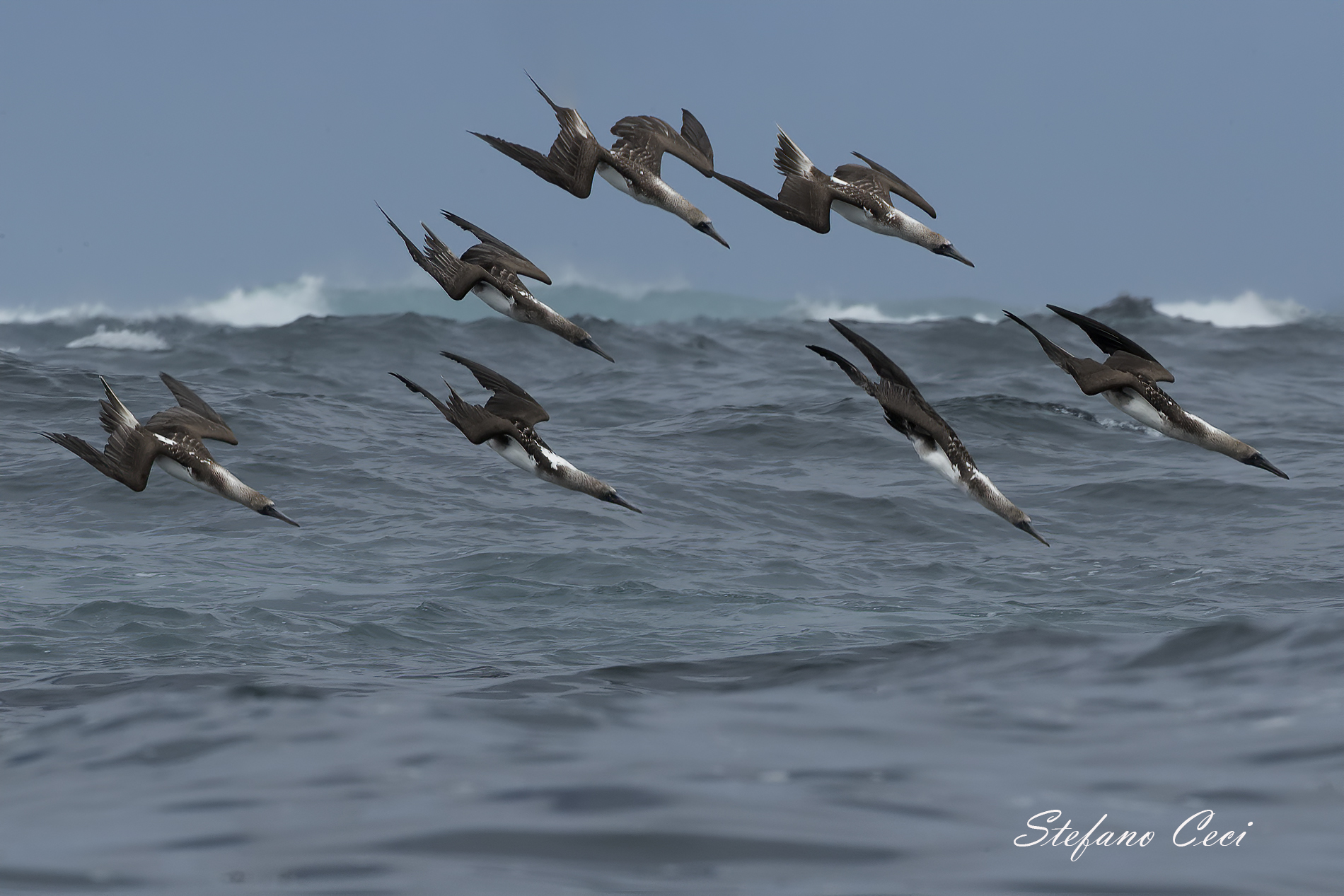 Formazione in picchiata