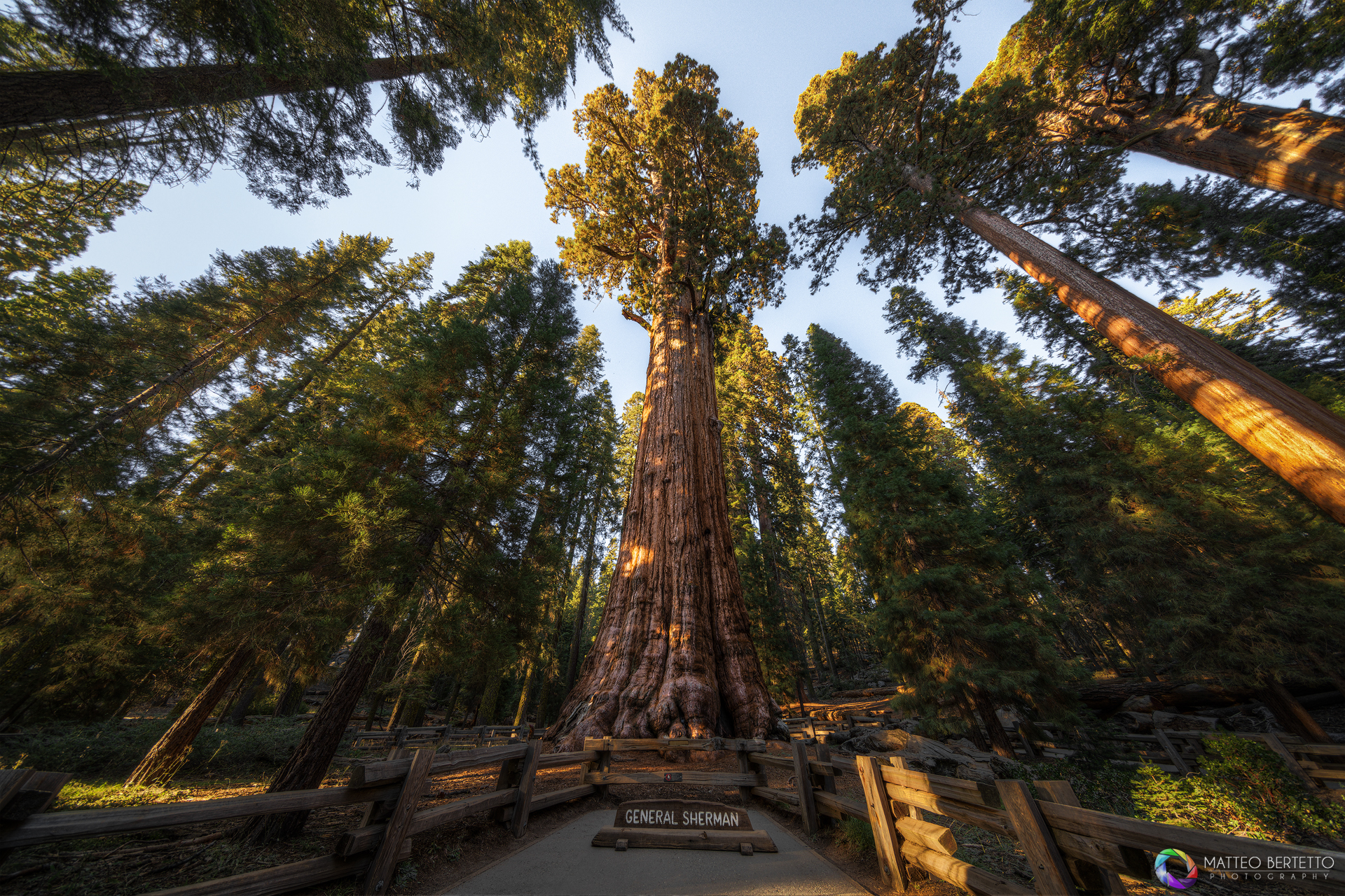 Sequoia Nationl Park - General Sherman