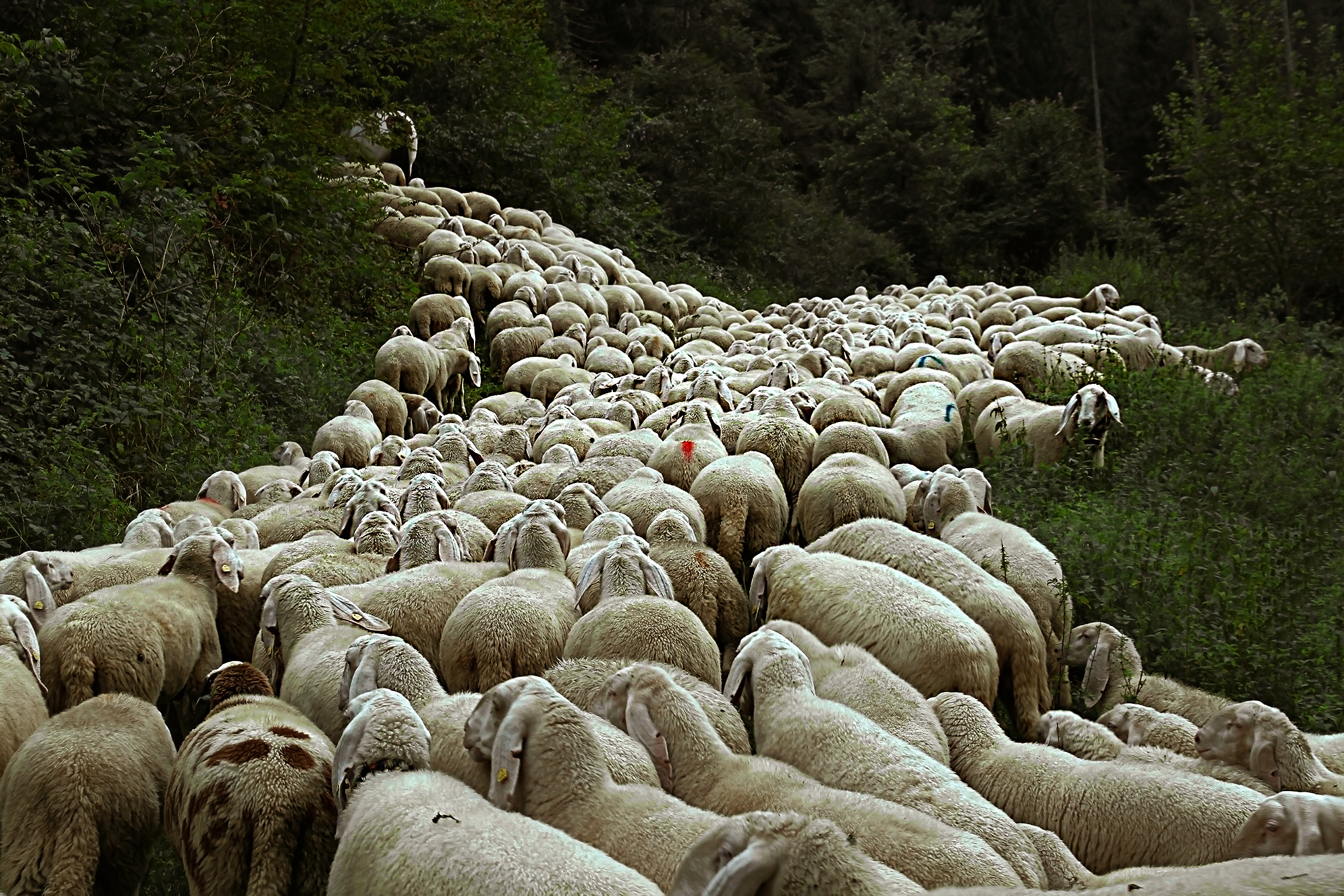 forward like this, a little bit to the right and a little si...