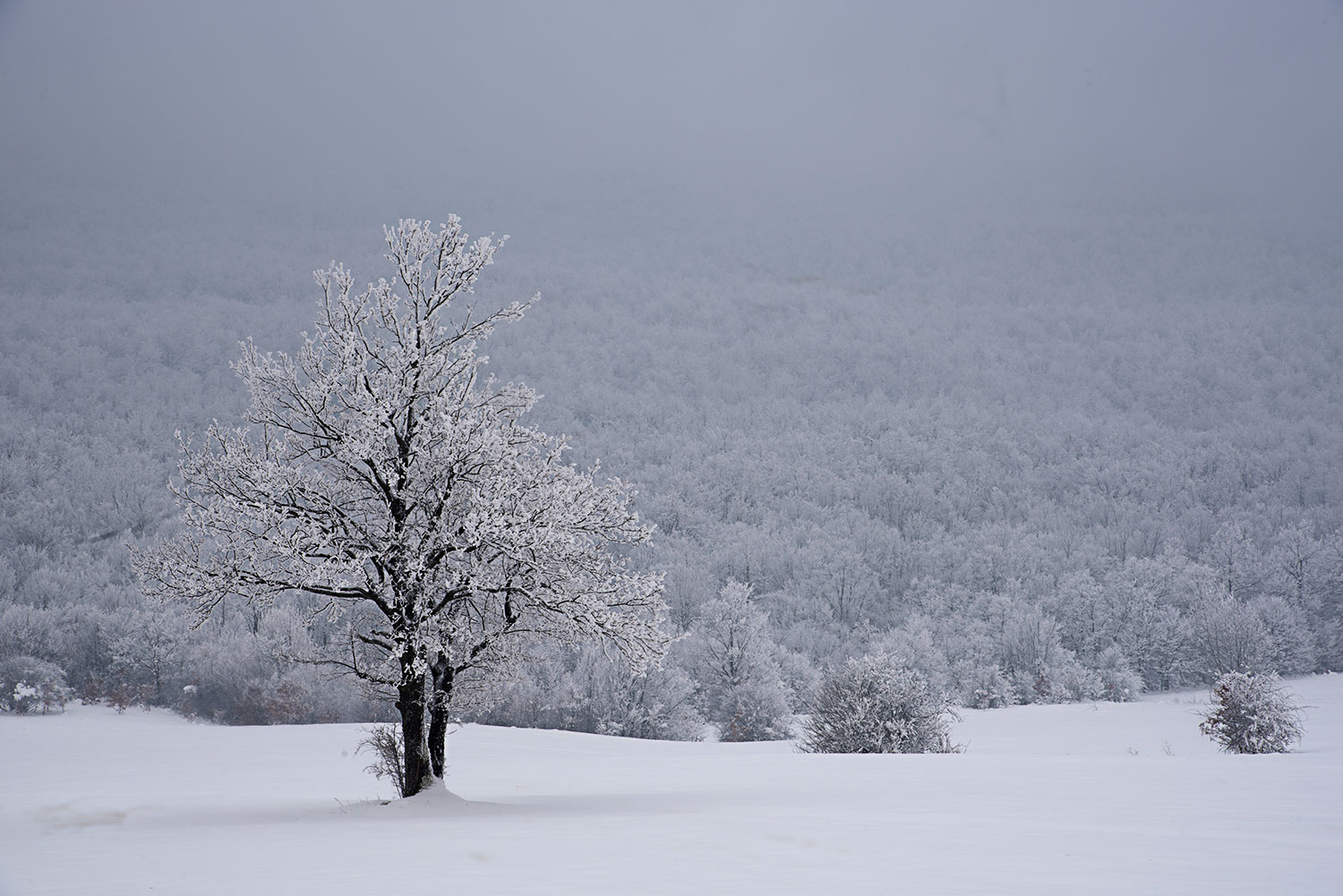 All White - Una National Park - Bosnia ed Erzegovina