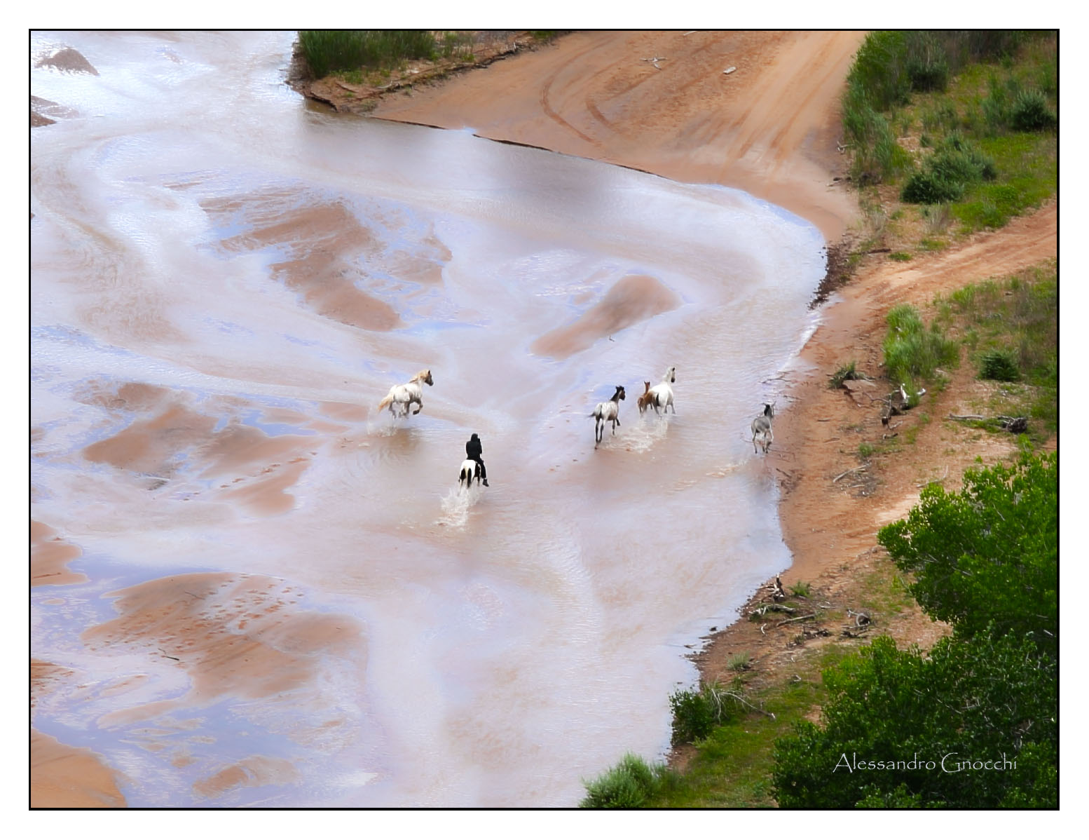 Horses ride - Whiskey Creek, Arizona