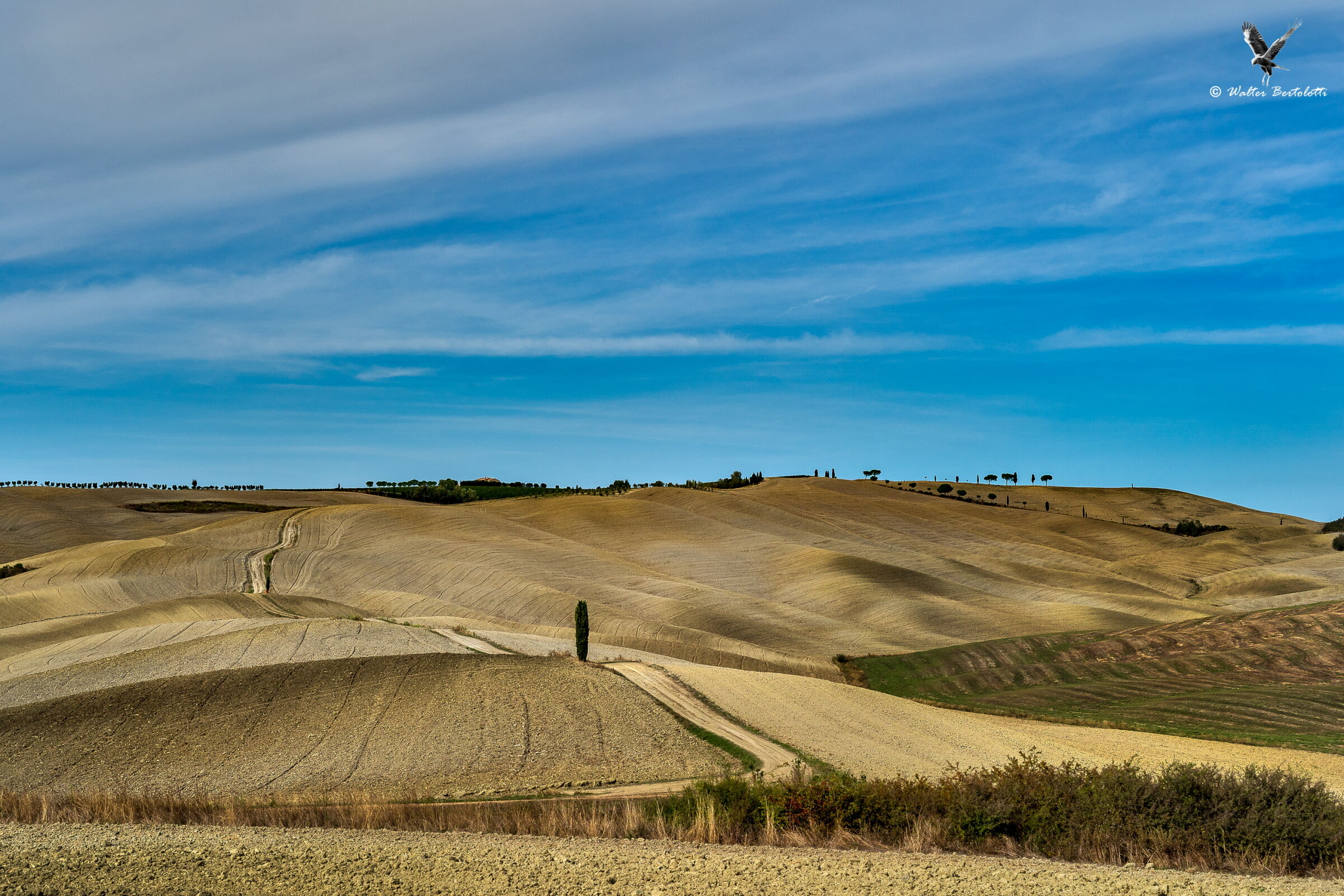 visioni dalla Val d'Orcia