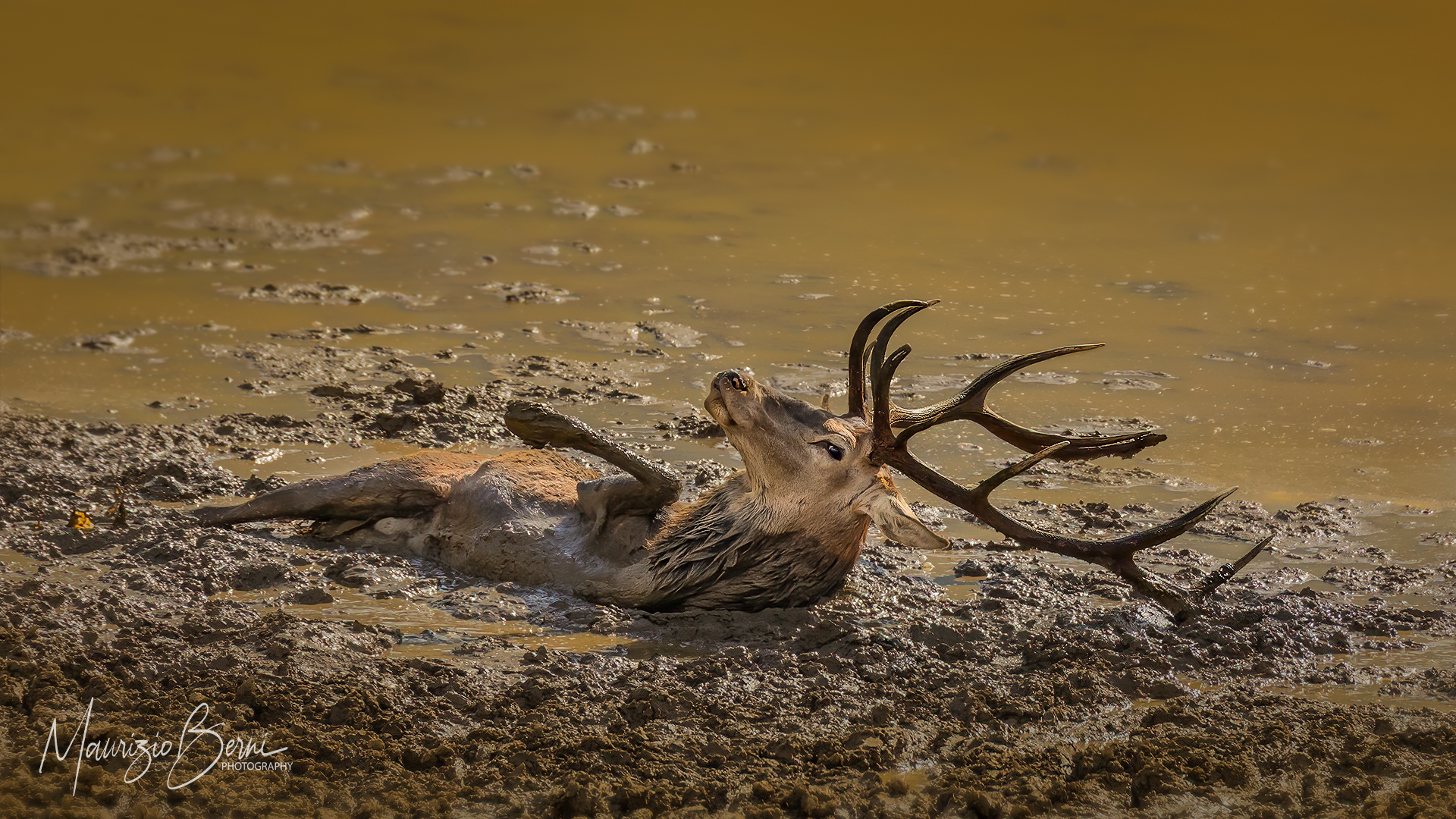 " Dentro quelle magiche pozze "