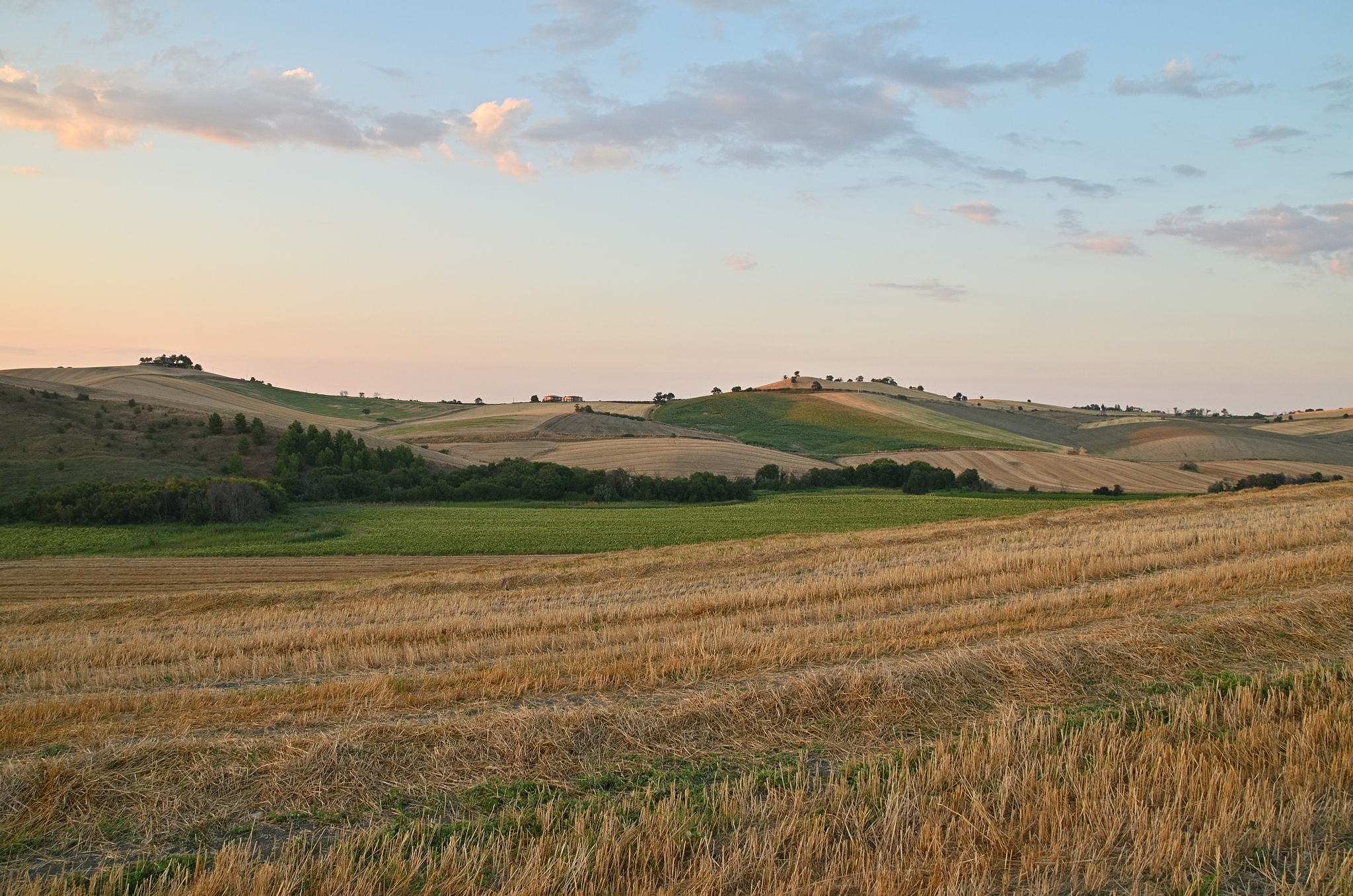 Sull'antico tratturo