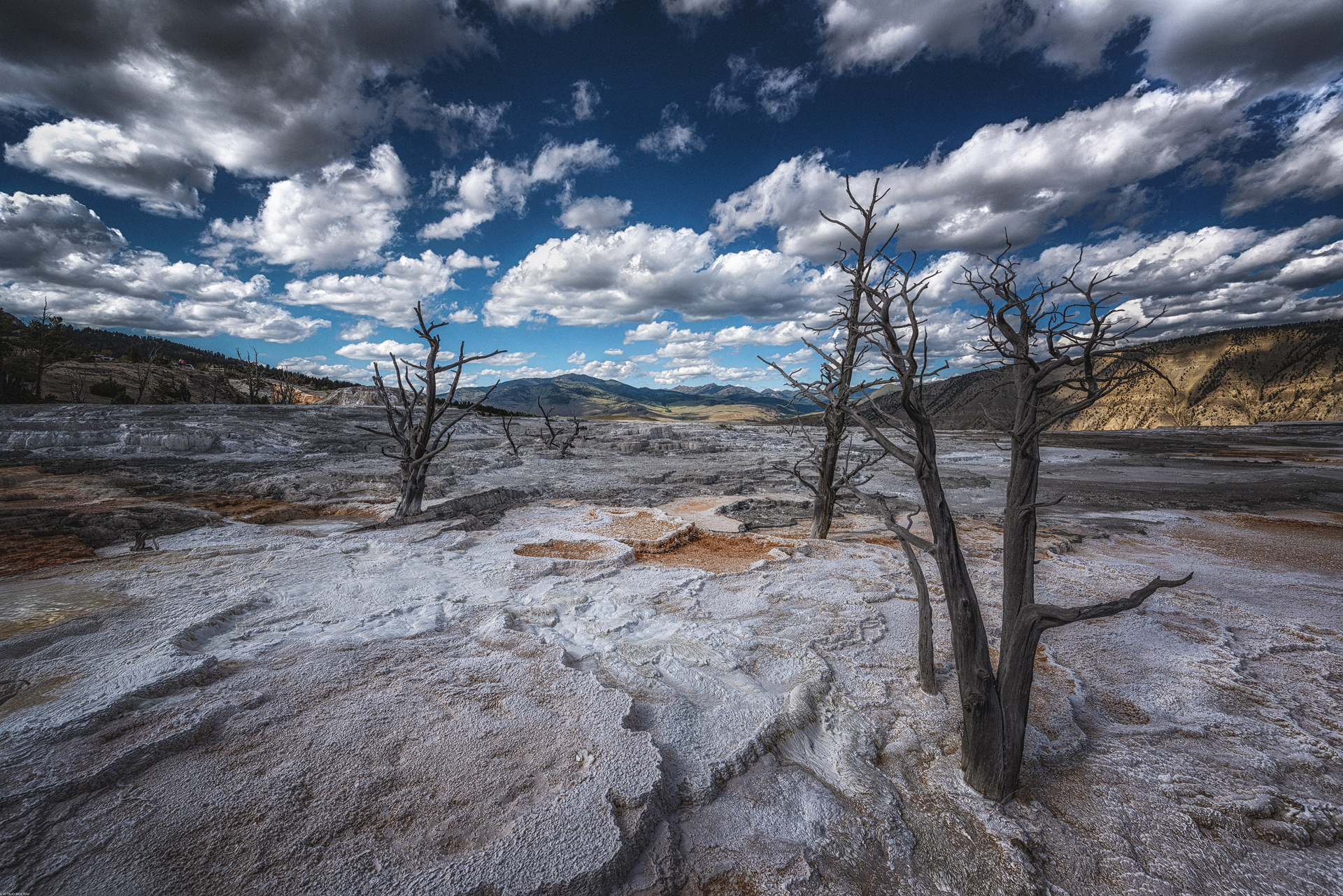 Surrealist Landscape
