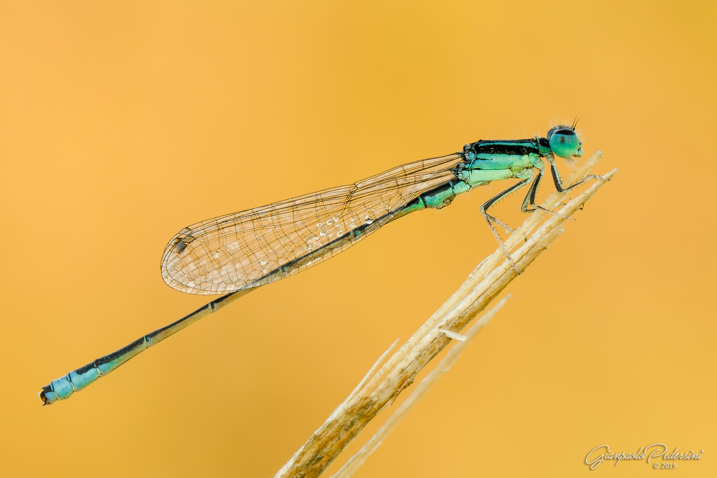 Natura...vive e morta