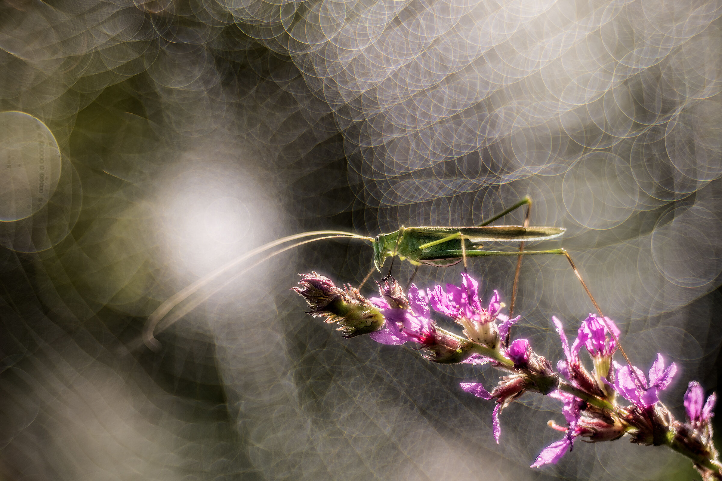 The light at the end of the tunnel