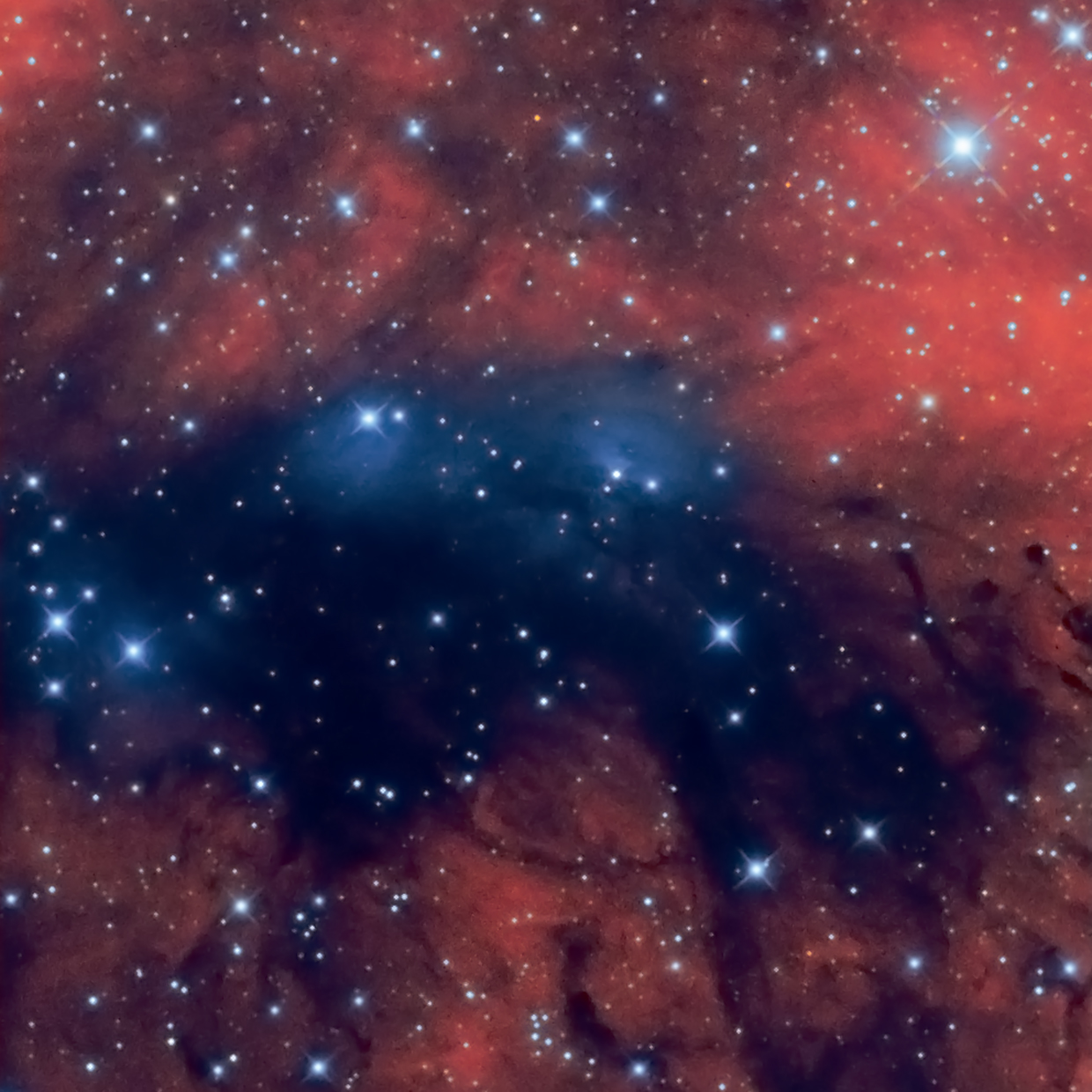 NGC 6914 bright nebula