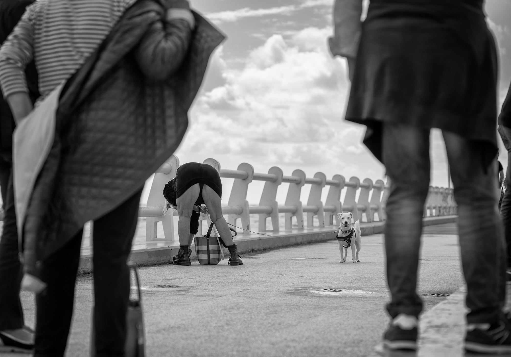 Che avete da guardare !!!!!