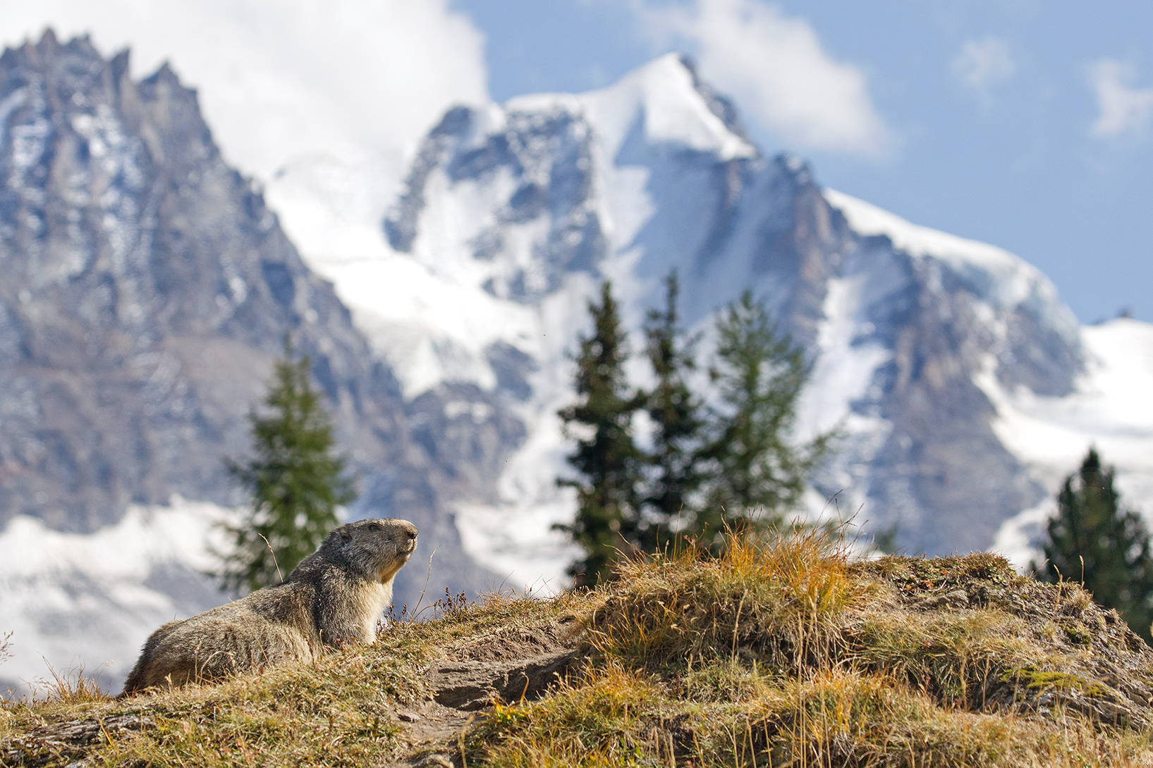 in front of the Great Paradise