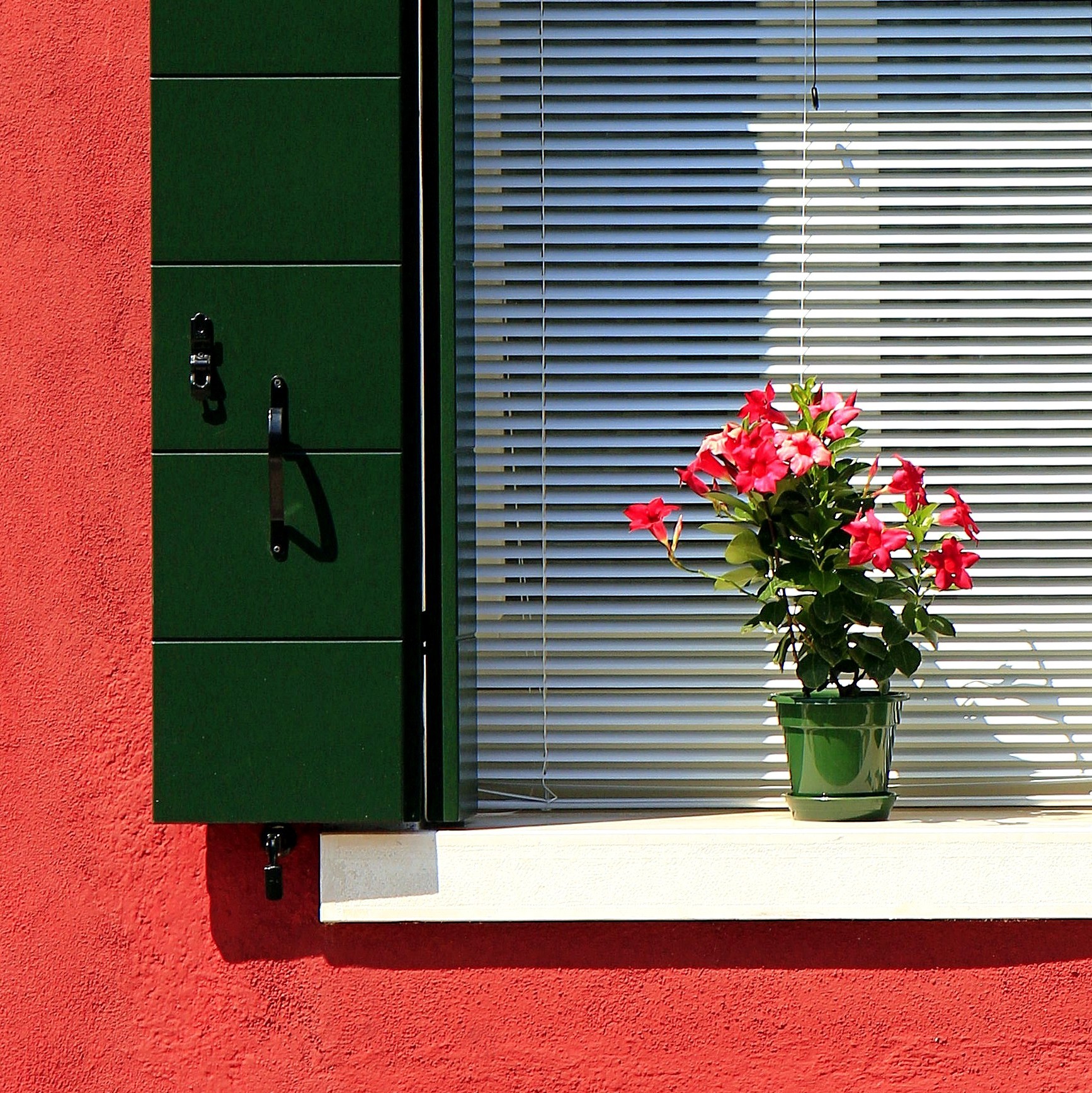 One detail: Burano