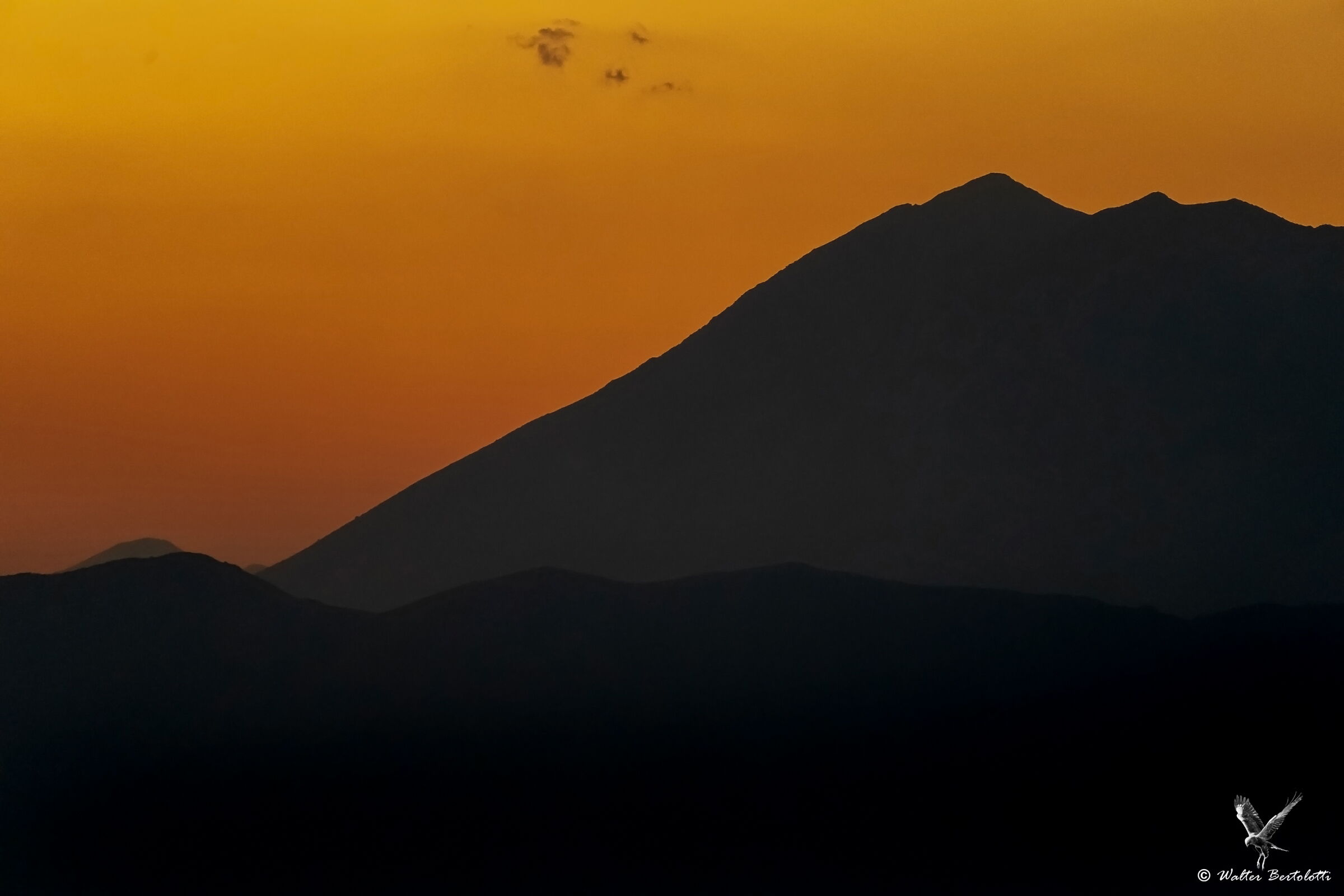 the light of the sunset