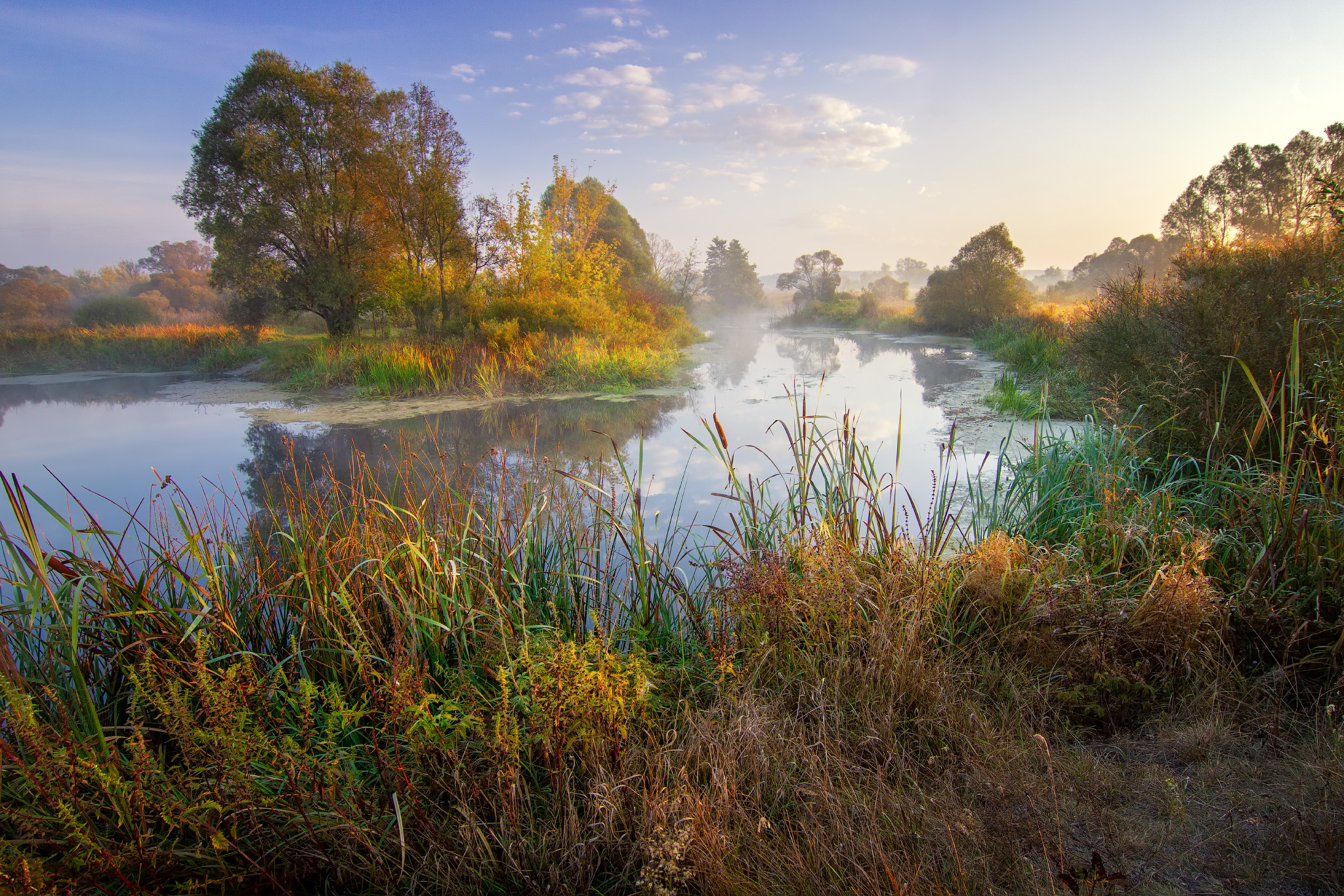 Morning by the river