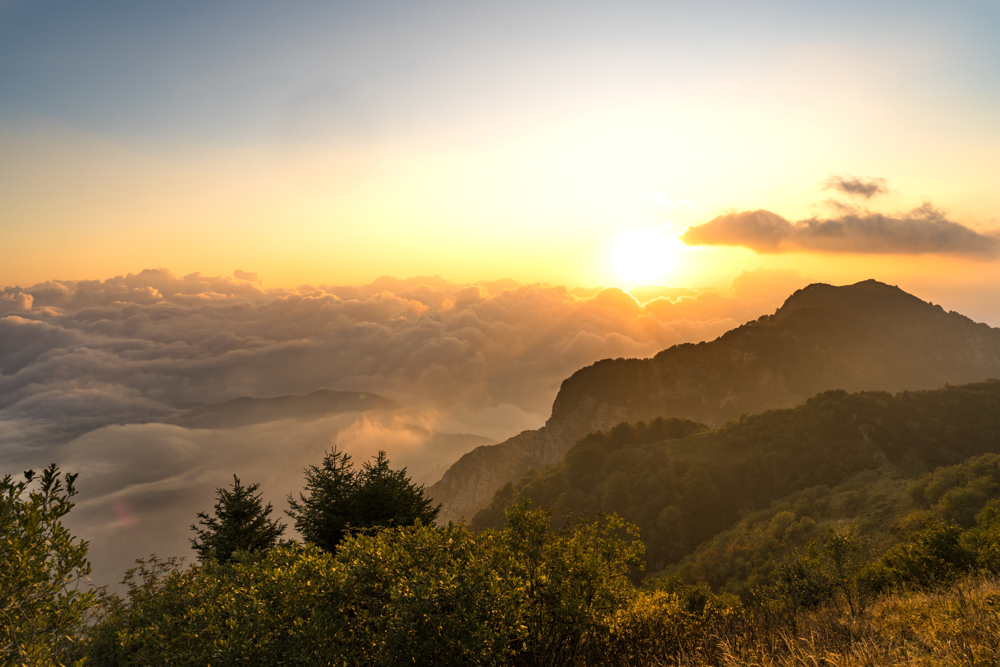 Alba da Cima Campodavanti