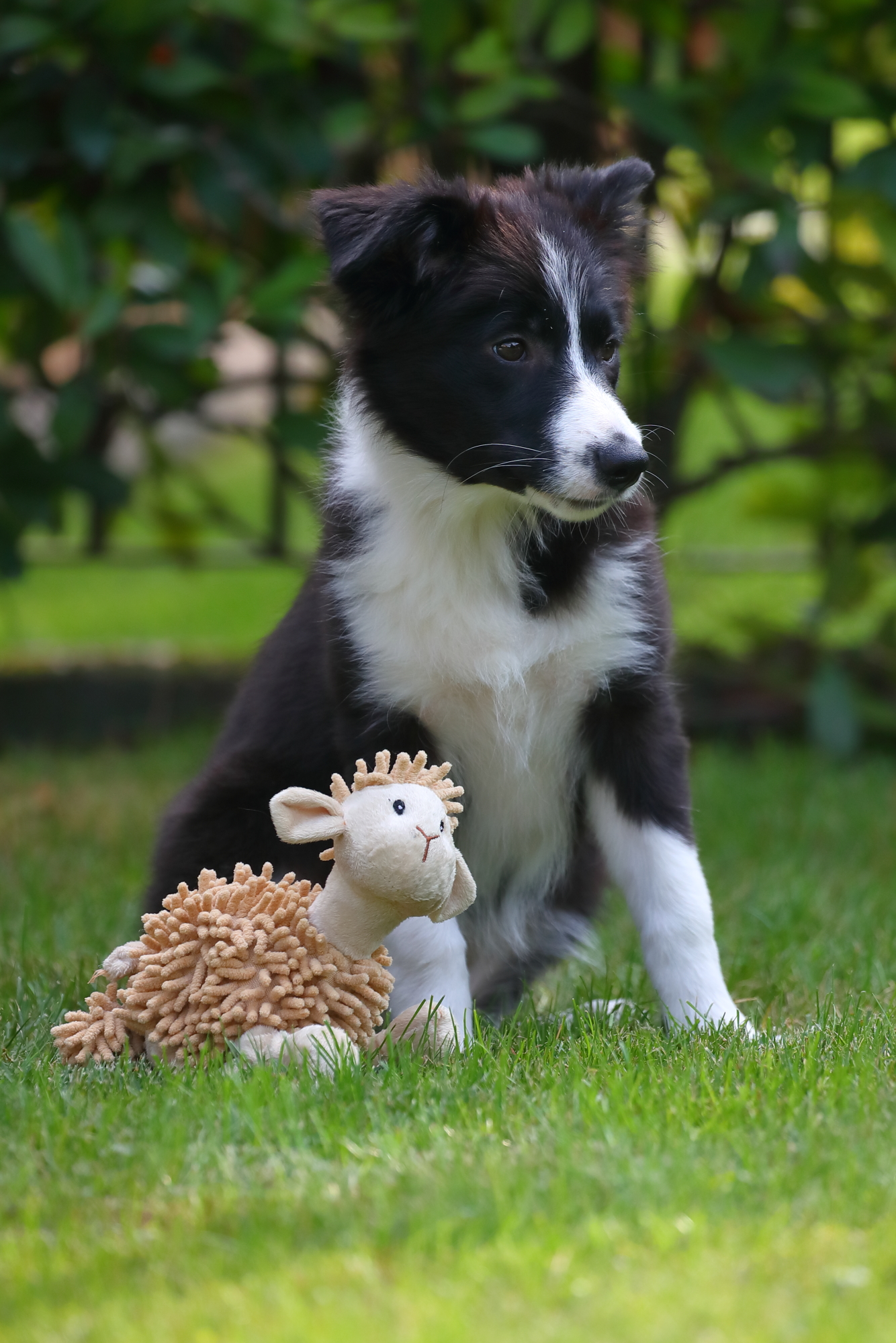 Pronti per una nuova avventura