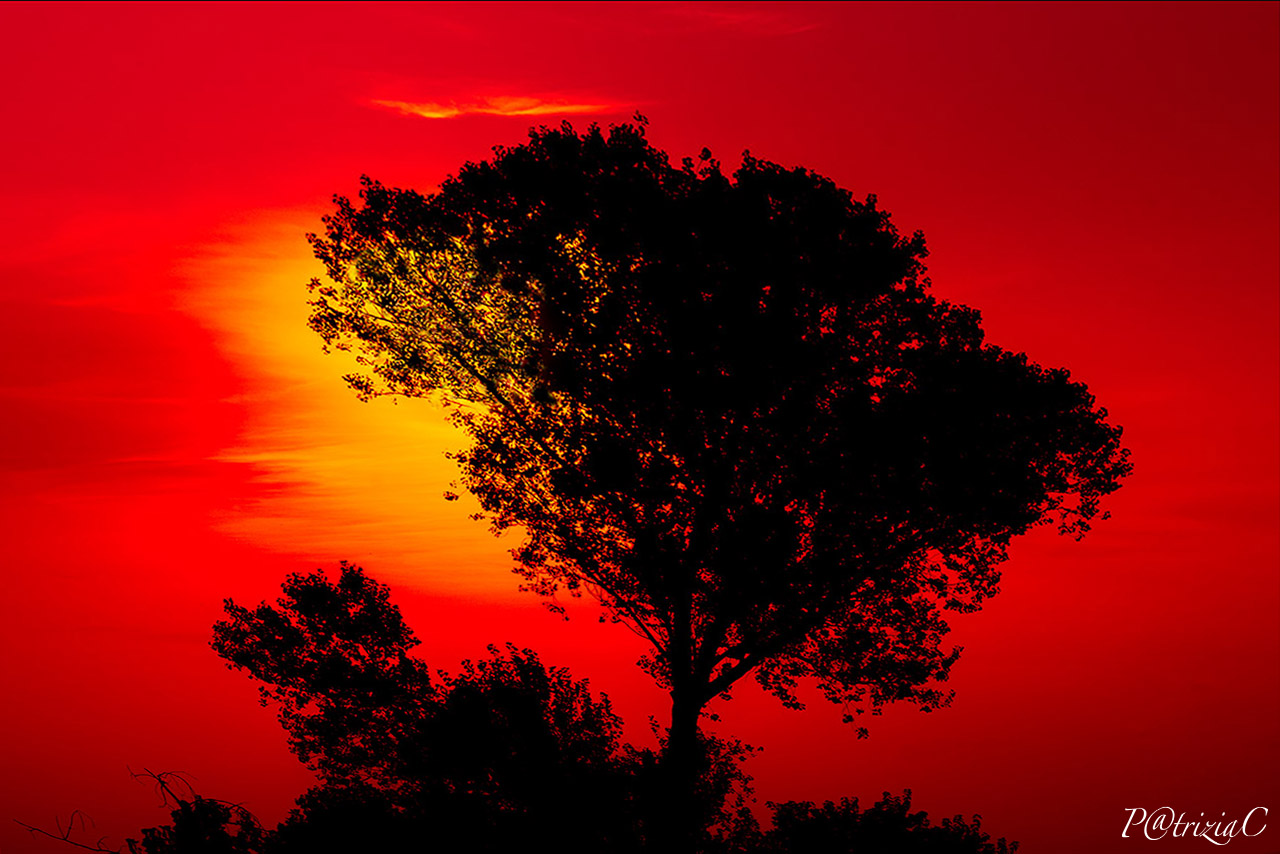 __red sunset__