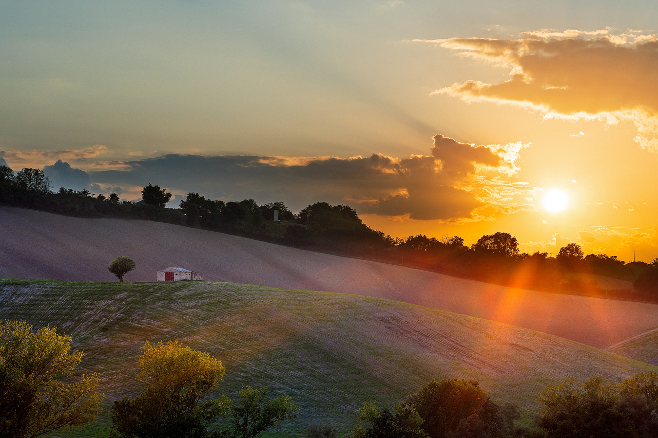 the Marche countryside