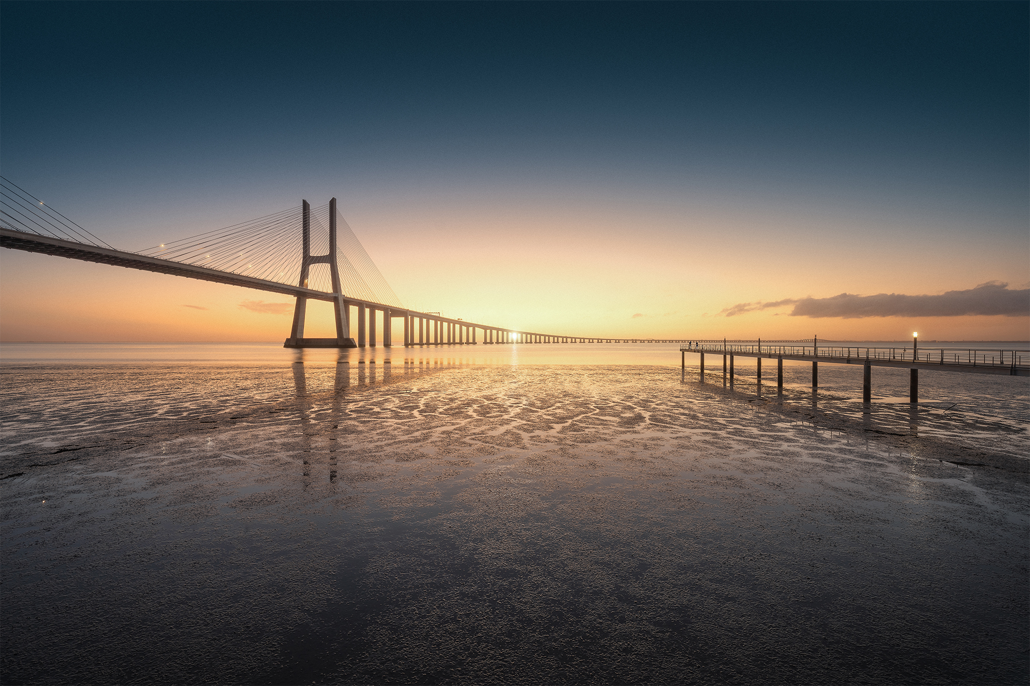 To You, in 2000 Years